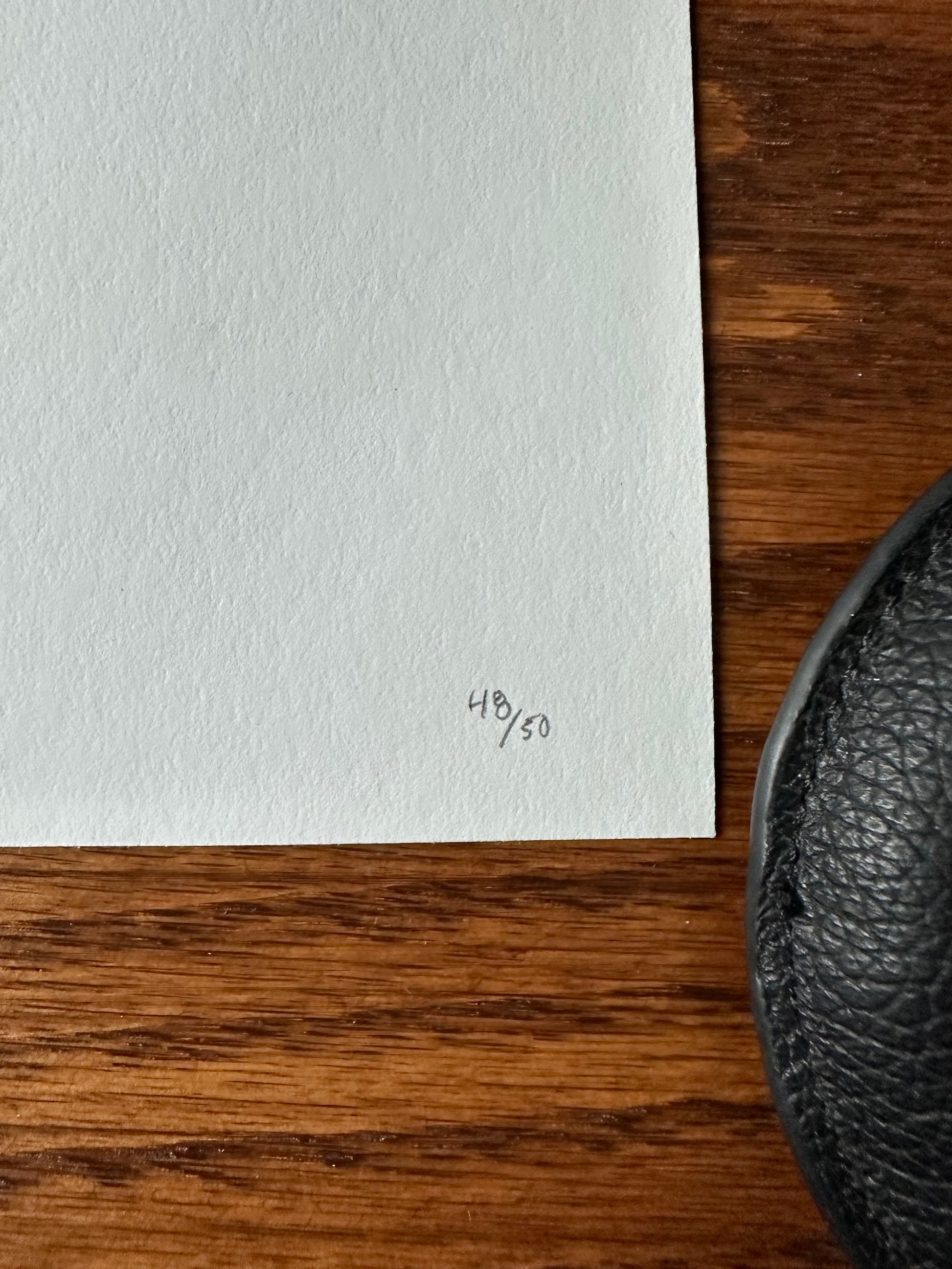 Paul Mann - Doctor Who Variant 36x24 movie poster - detail image 6