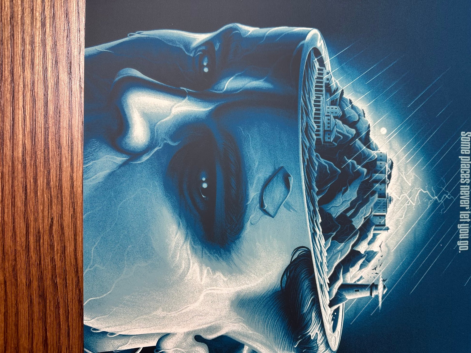 Melvin Mago - Shutter Island 18x24 movie poster - detail image 4