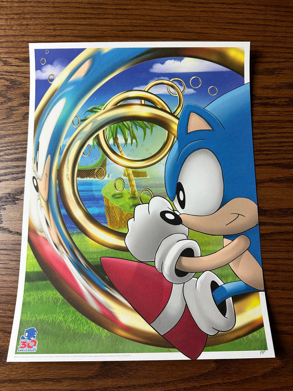Andy Fairhurst - Sonic the Hedgehog - 12x16 - Limited Edition Print