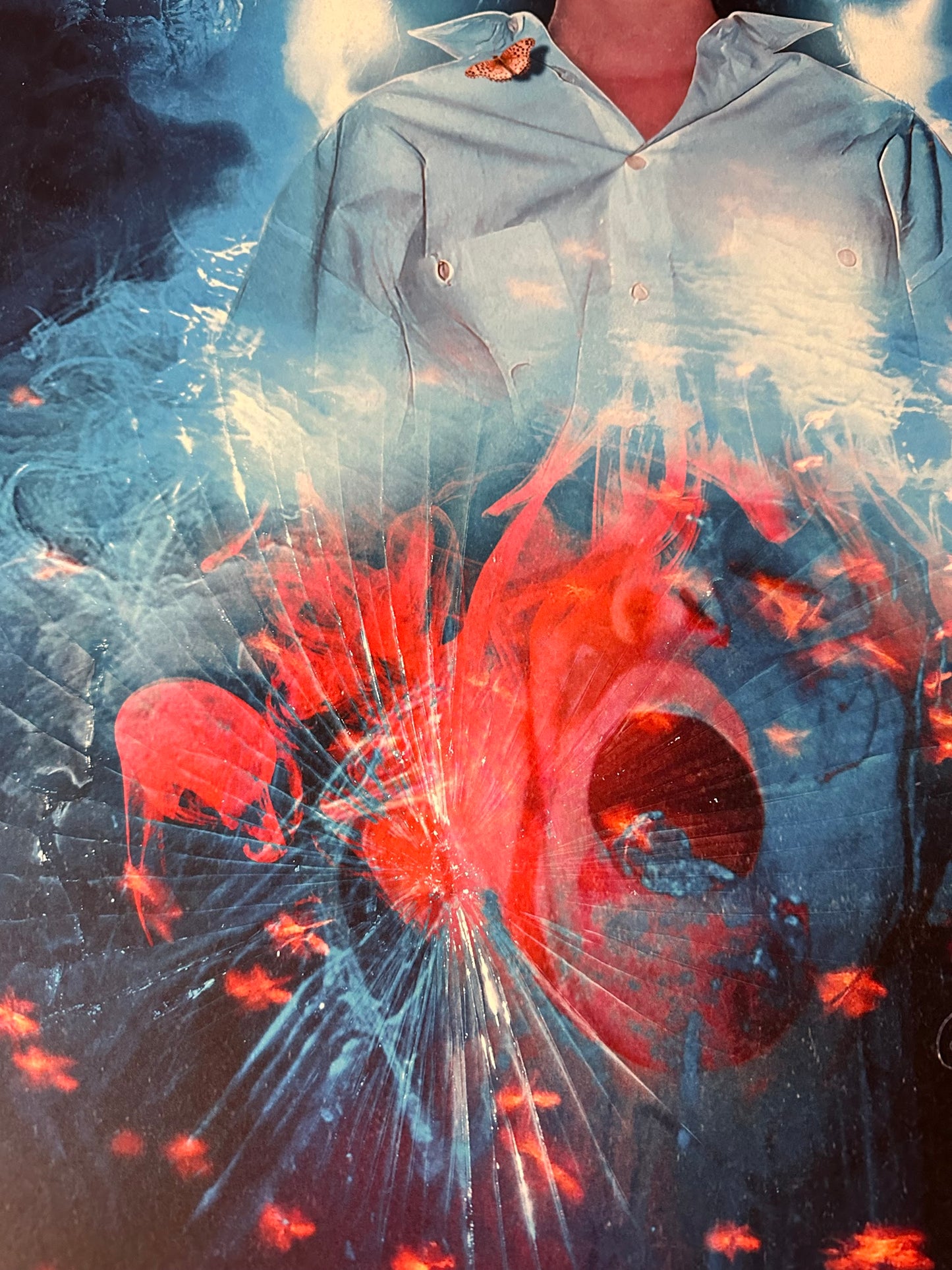 Creepy Duck Design - Phenomena 24x36 movie poster - detail image 6