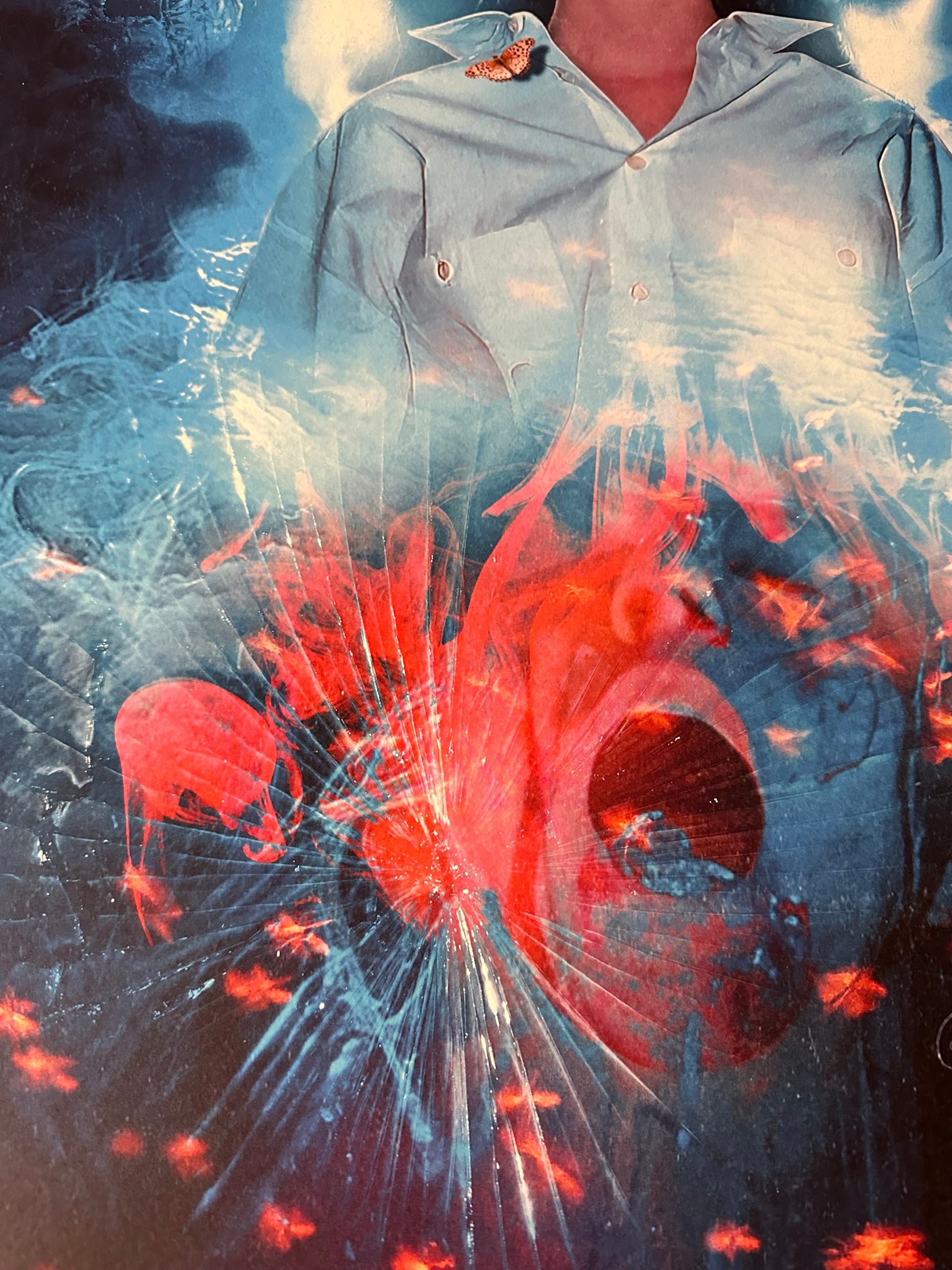Creepy Duck Design - Phenomena 24x36 movie poster - detail image 6