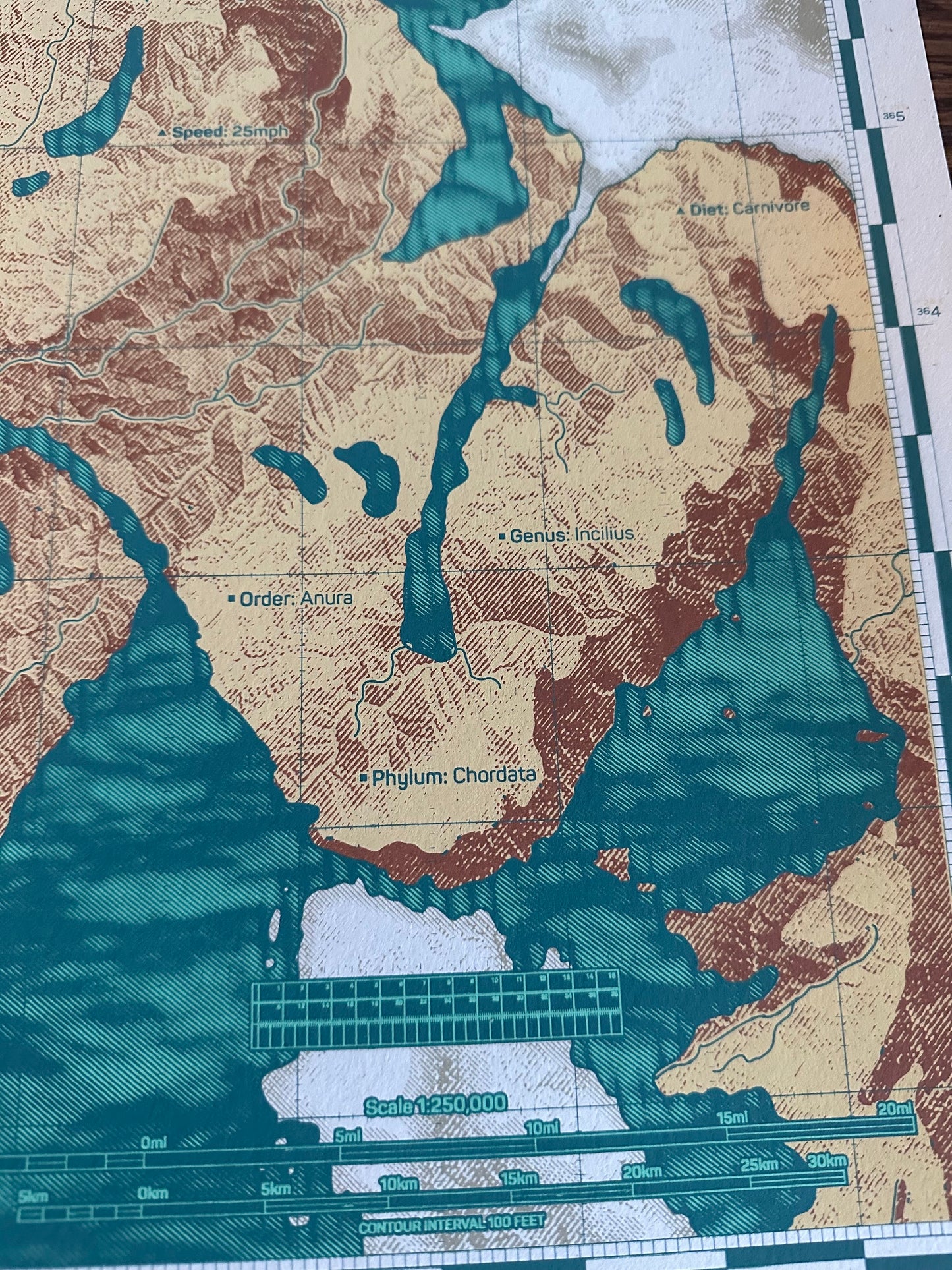 Anthony Petrie - Golden Toad Map 18x24 movie poster - detail image 3