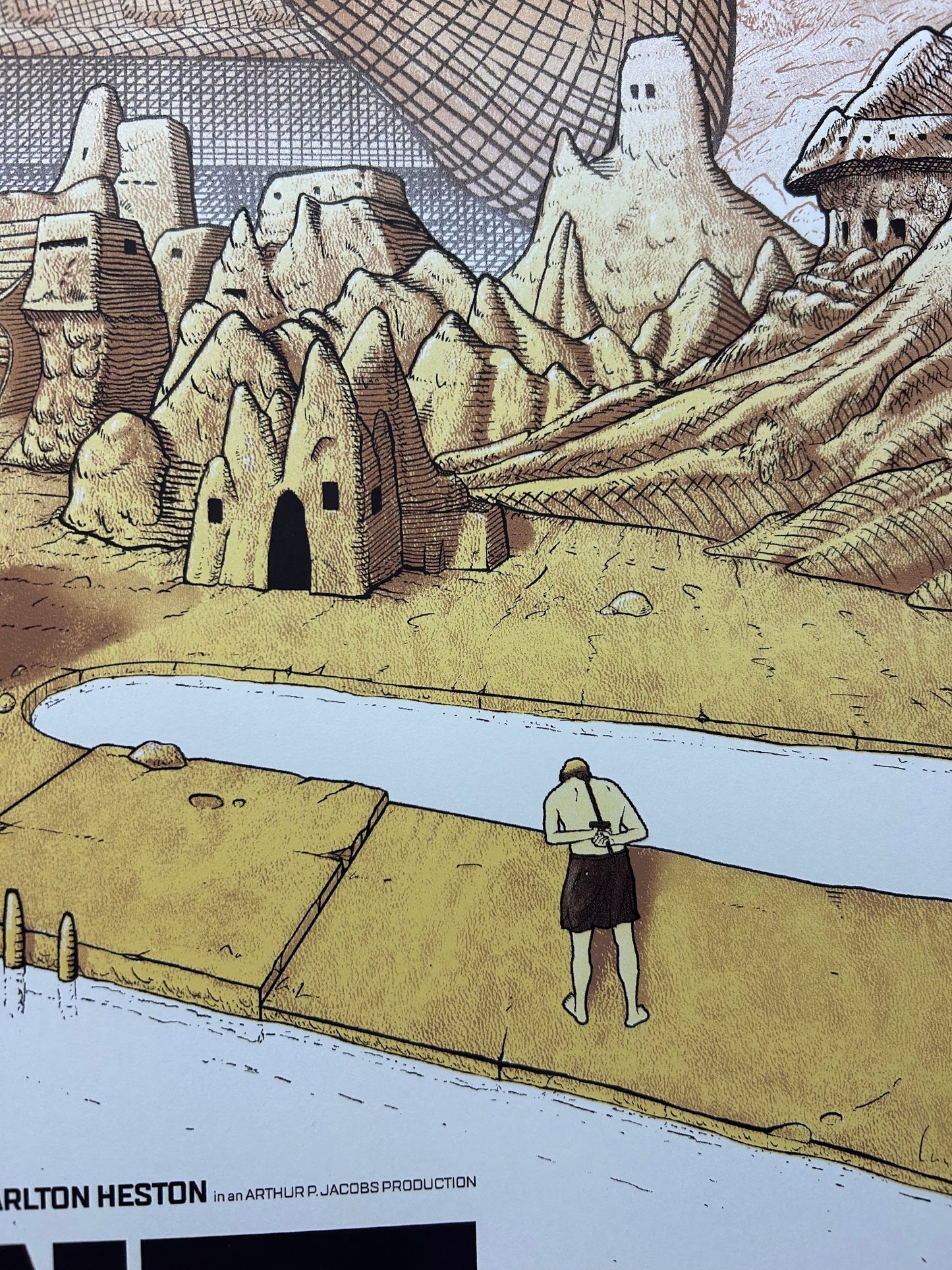 Cristian Eres - Planet of the Apes 24x36 movie poster - detail image 3