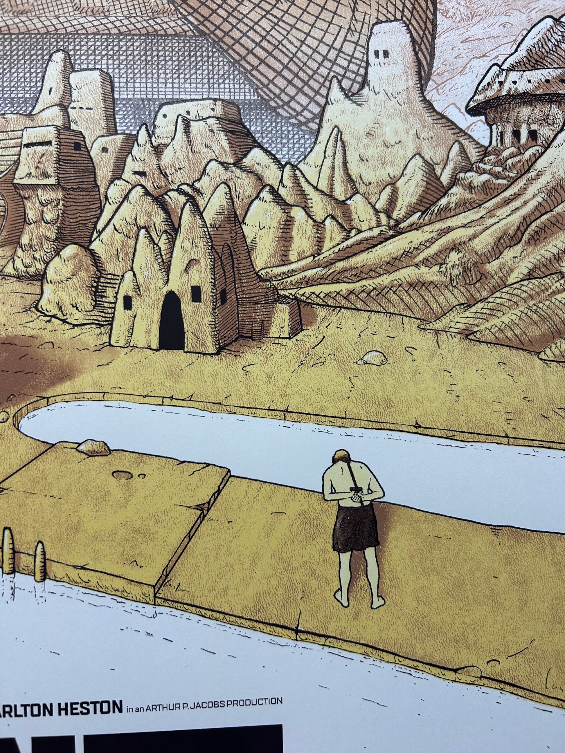 Cristian Eres - Planet of the Apes 24x36 movie poster - detail image 3