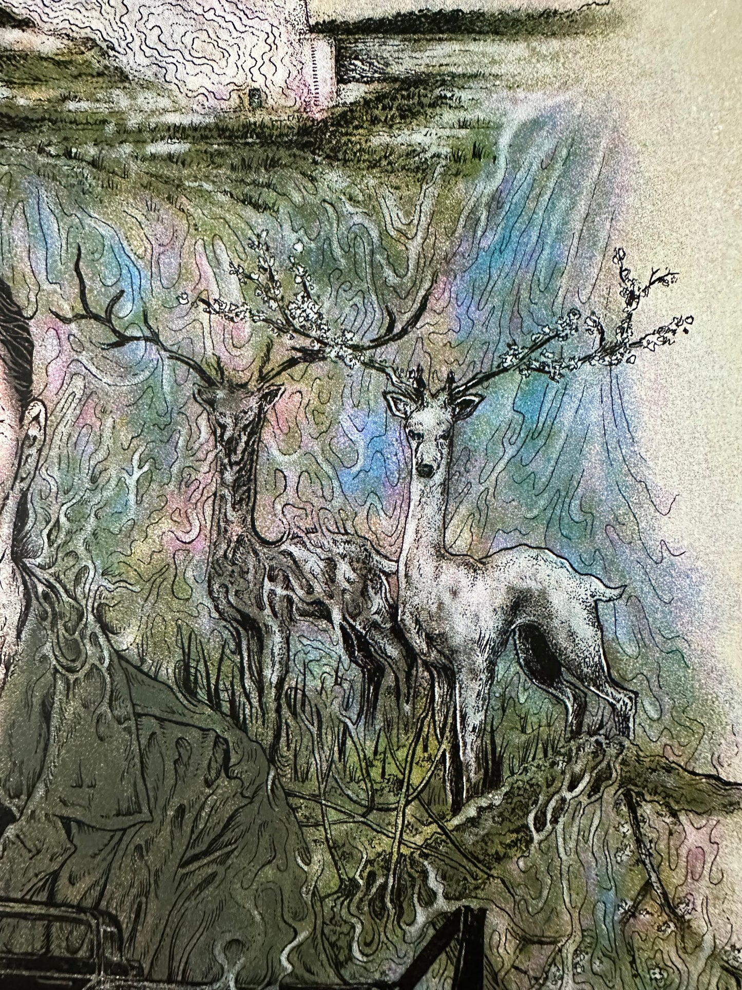 Andrew Rowland - Annihilation 24x36 movie poster - detail image 4