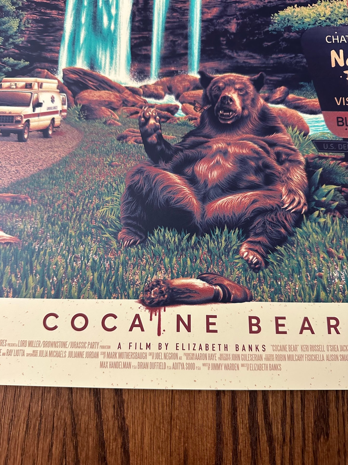 Tom Coupland - Cocaine Bear 16x24 movie poster - detail image 7