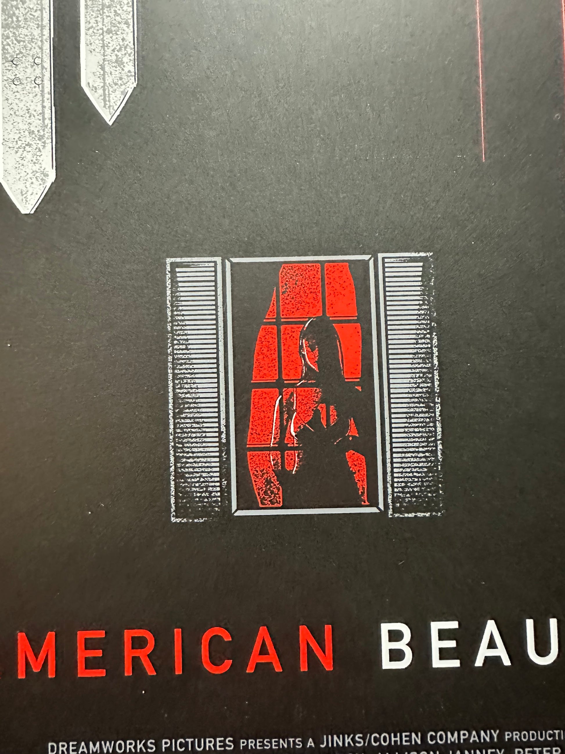Matt Ryan Tobin - American Beauty 24x36 movie poster - detail image 6