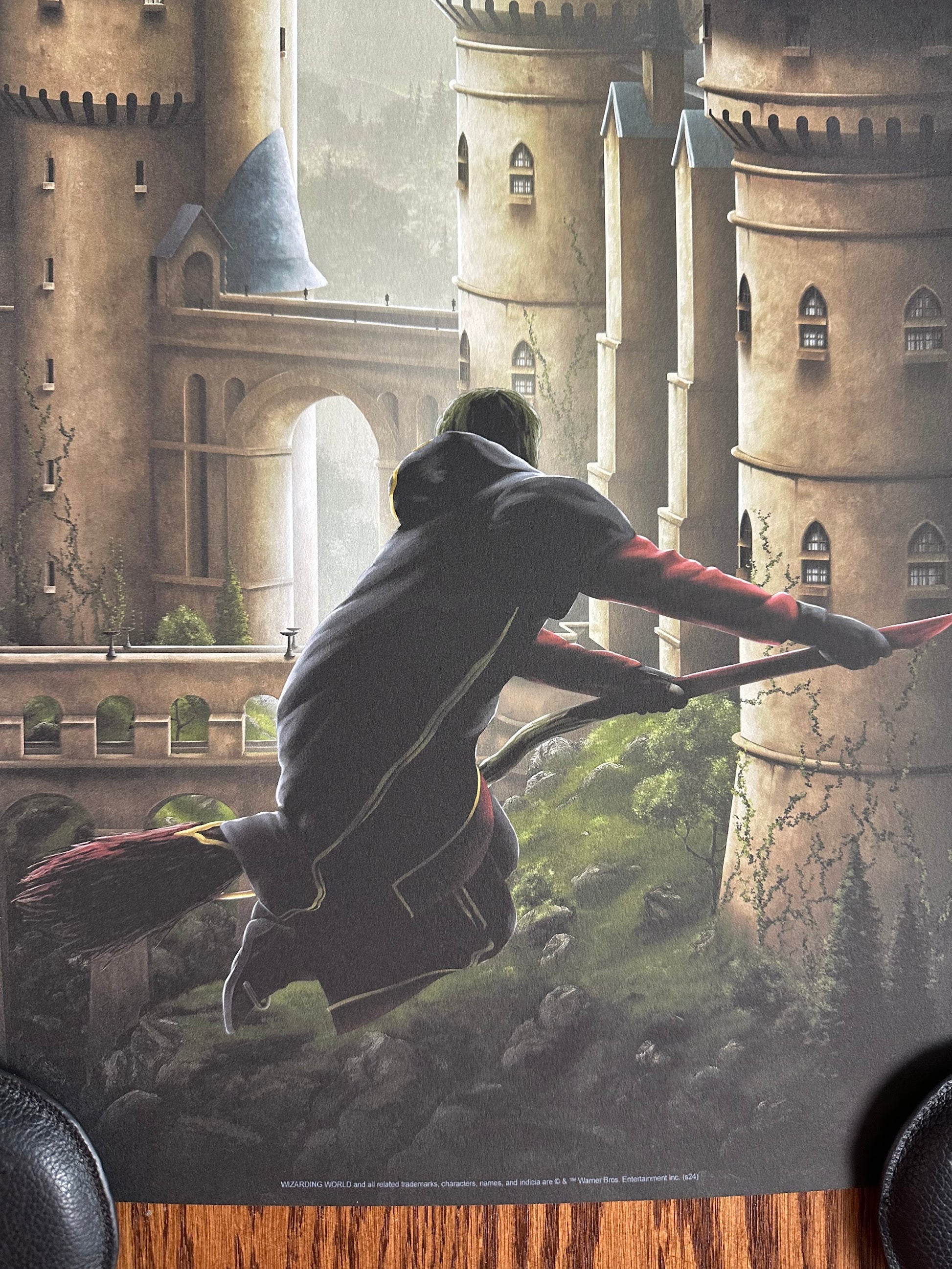 Ben Harman - Harry Potter and the Goblet of Fire 12x36 movie poster - detail image 5