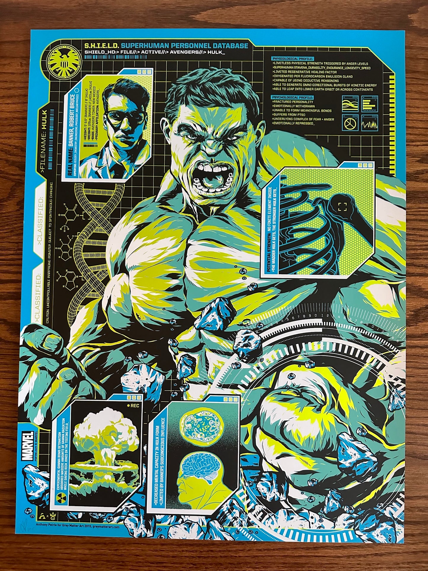 Anthony Petrie - Shield Files Hulk 18x24 movie poster