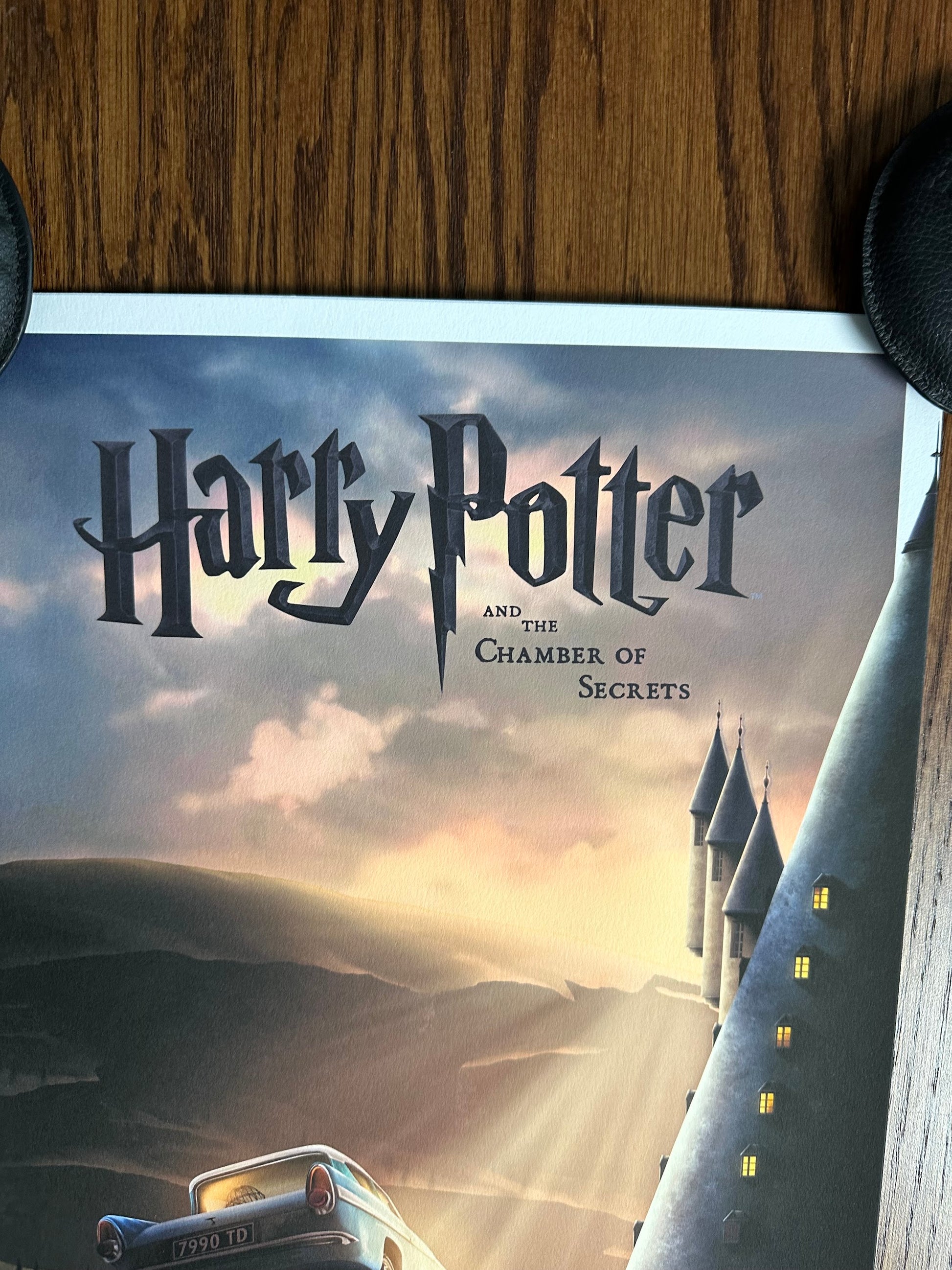 Ben Harman - Harry Potter and the Chamber of Secrets 12x36 movie poster - detail image 2