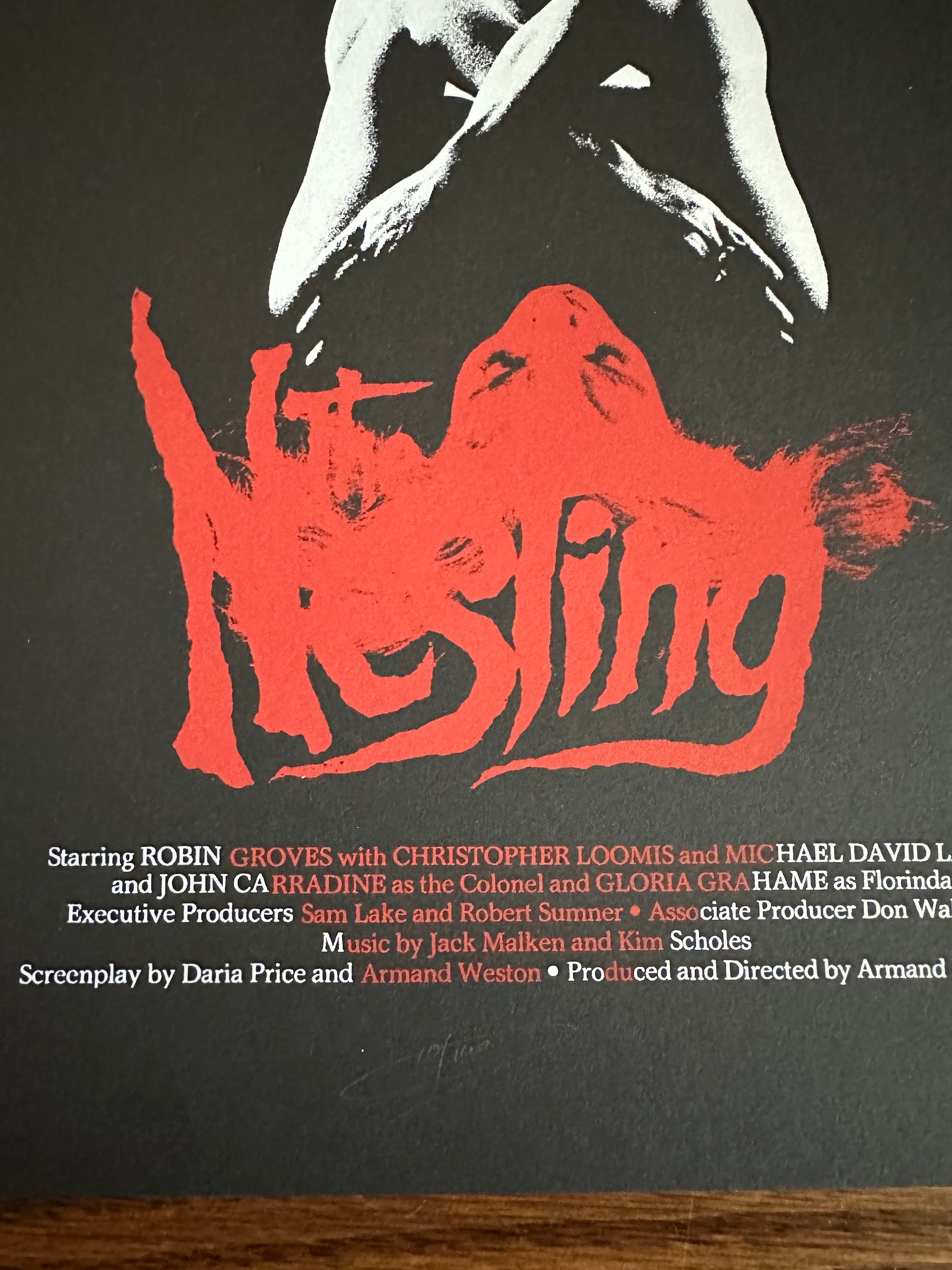 Jay Shaw - Nesting 18x24 movie poster - detail image 3