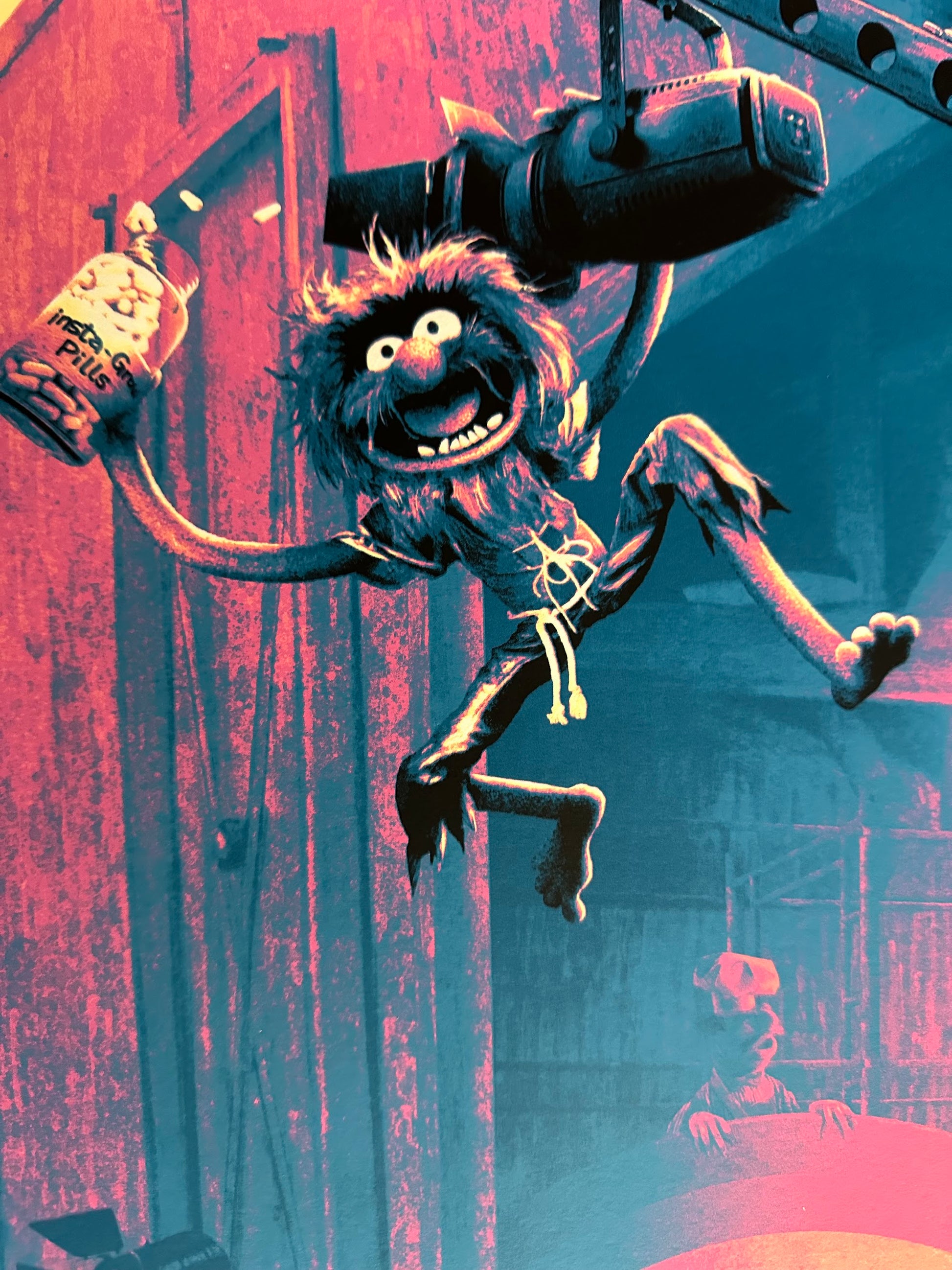 Kevin Wilson - The Muppet Movie 36x24 movie poster - detail image 5
