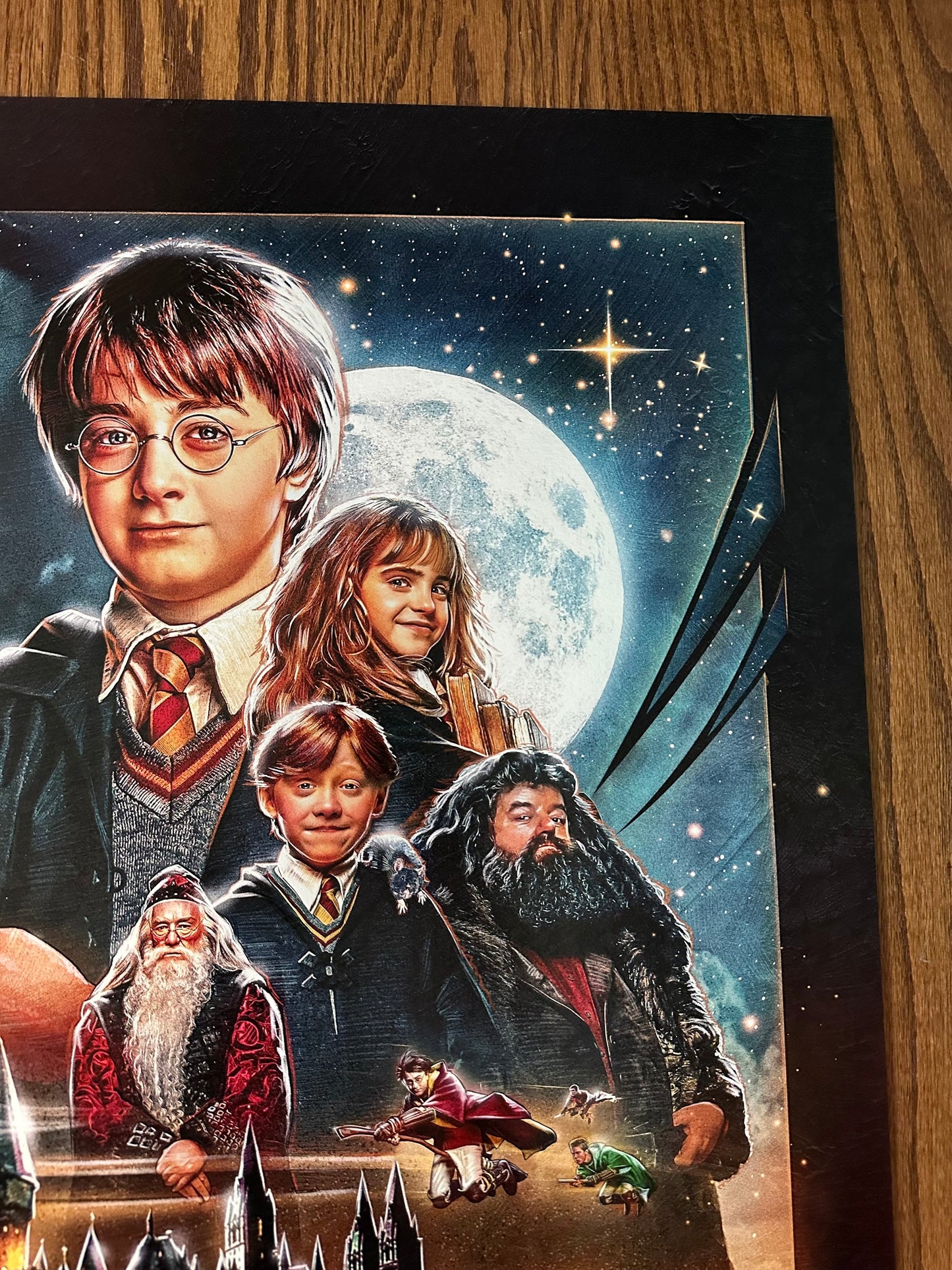 Blake Armstrong - Harry Potter & the Sorcerer's Stone 24x36 movie poster - detail image 3