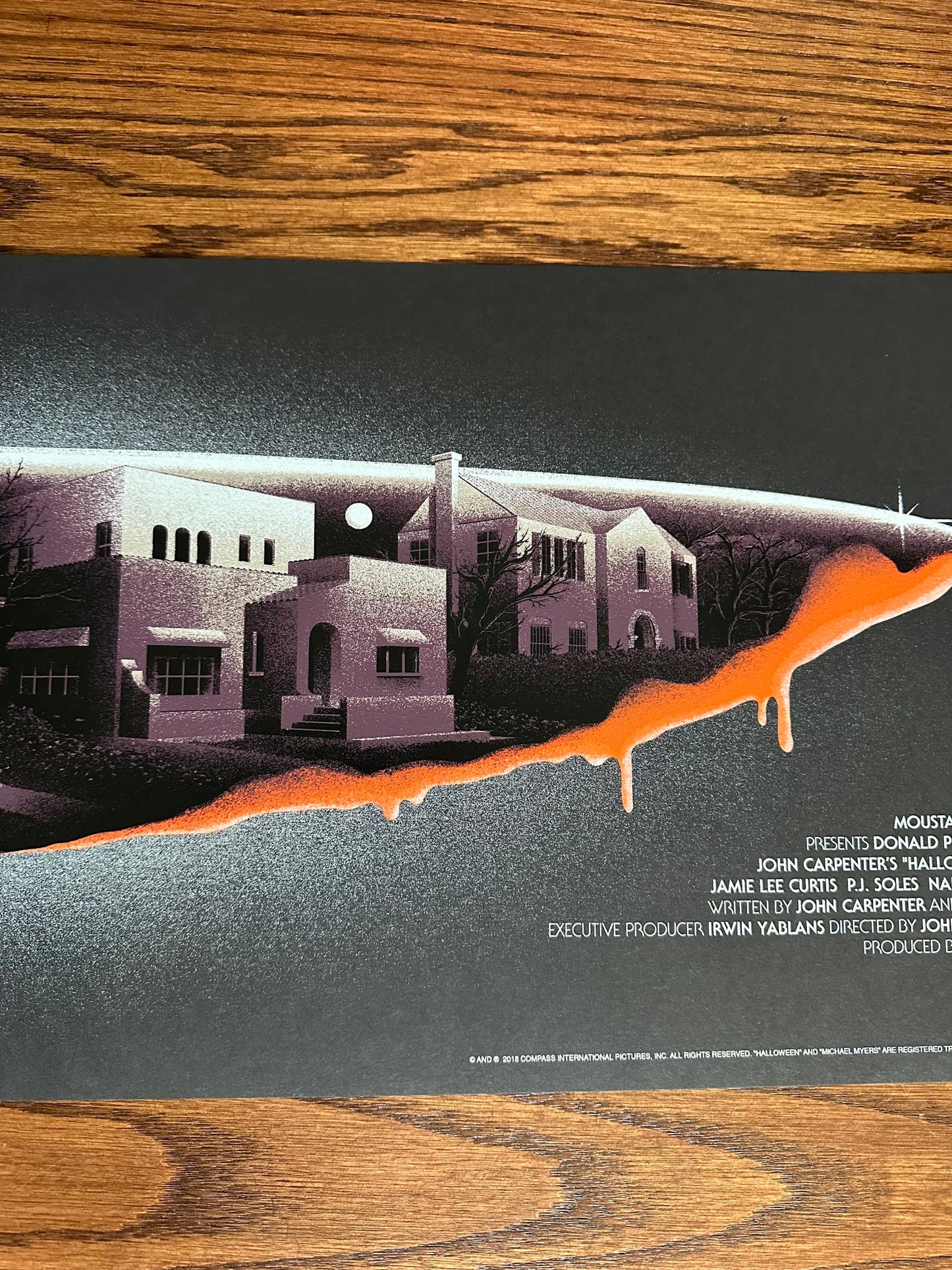 Melvin Mago - Halloween 12x36 movie poster - detail image 5
