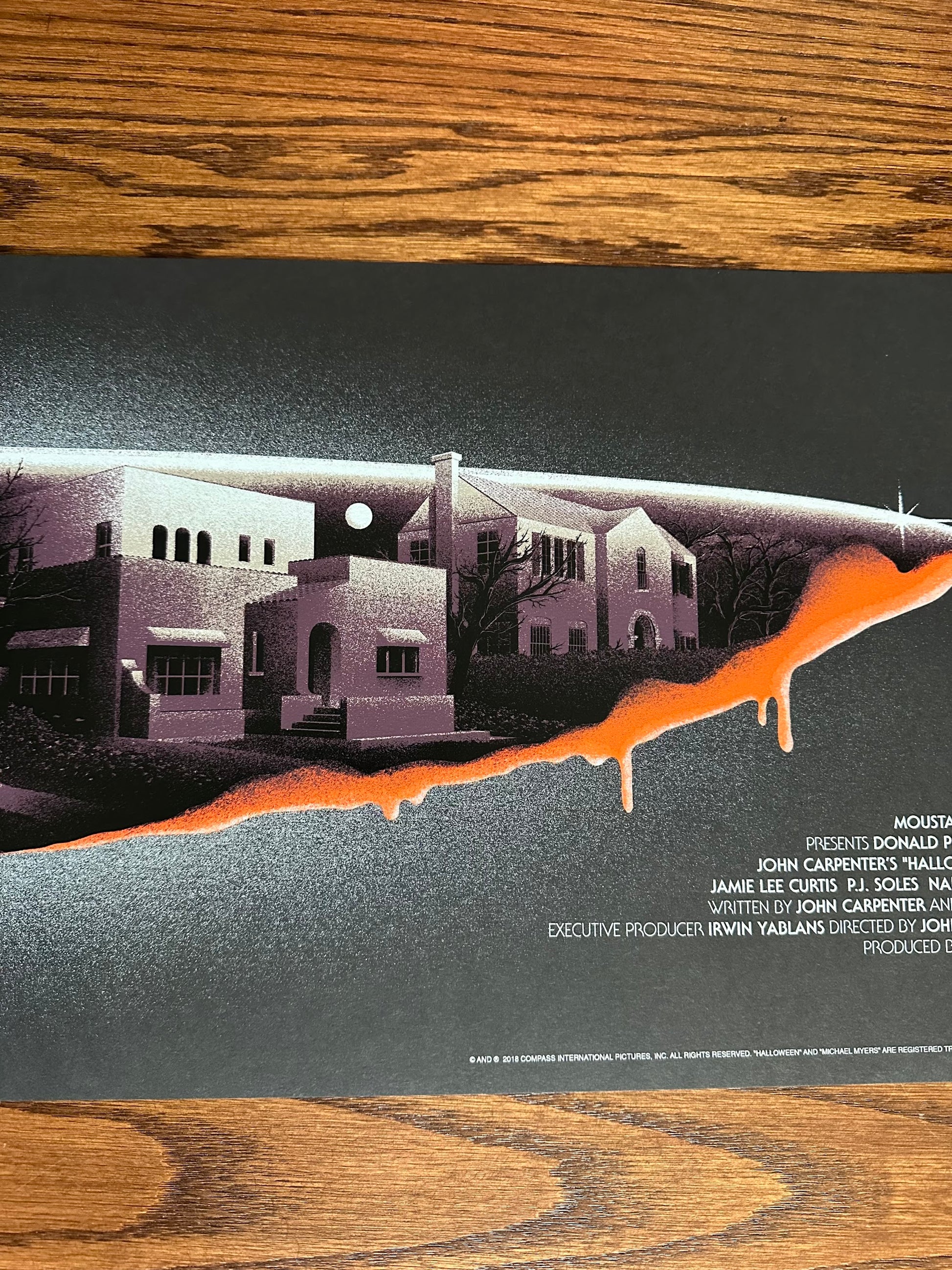 Melvin Mago - Halloween 12x36 movie poster - detail image 5