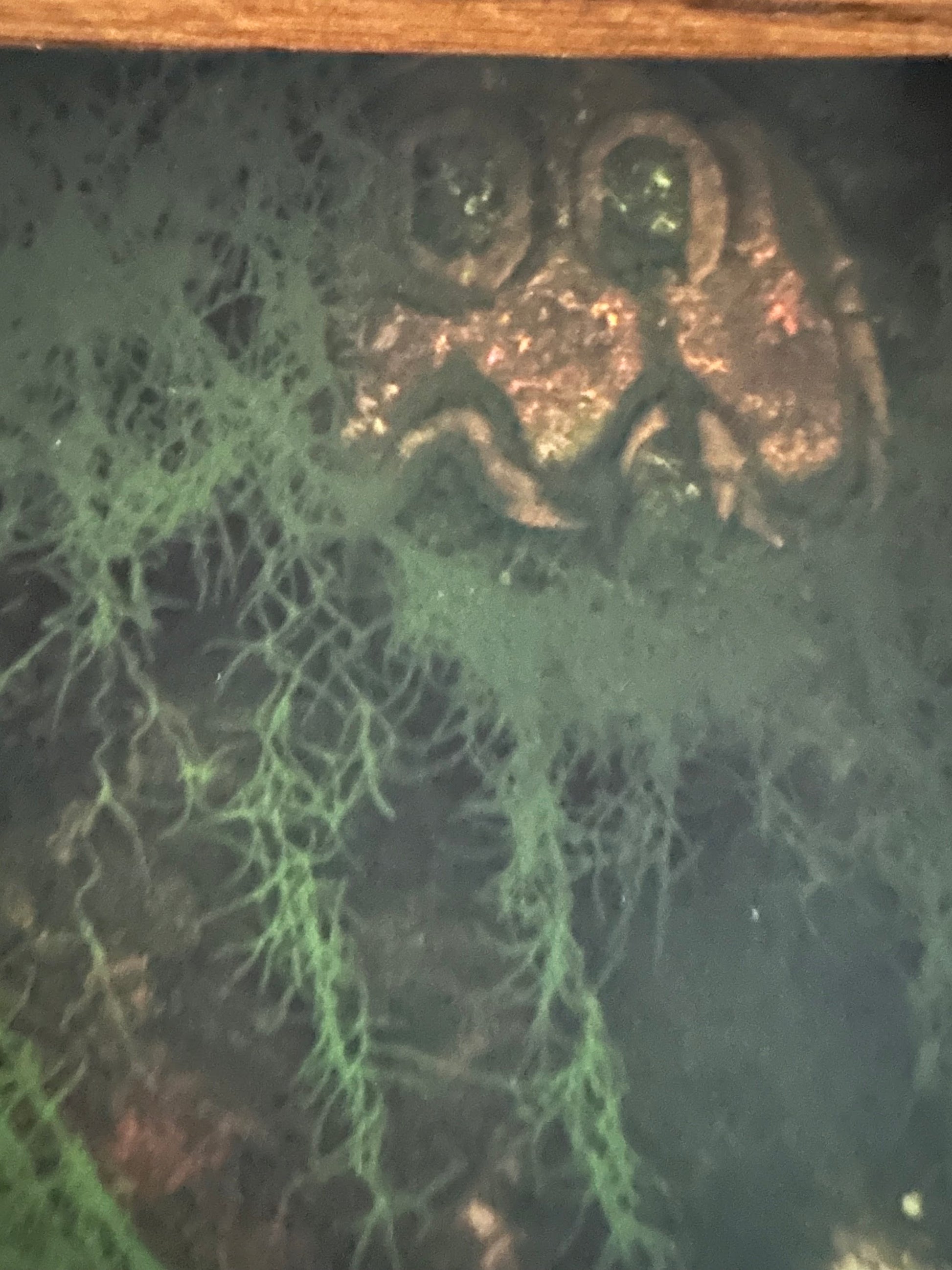 Casey Callender - Pac-Man Jungle "Legend of the Pac Man" 13x19 art print - detail image 2