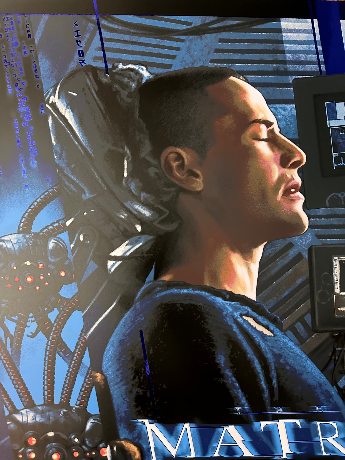 Richard Philpott - The Matrix Variant 24x36 movie poster - detail image 3