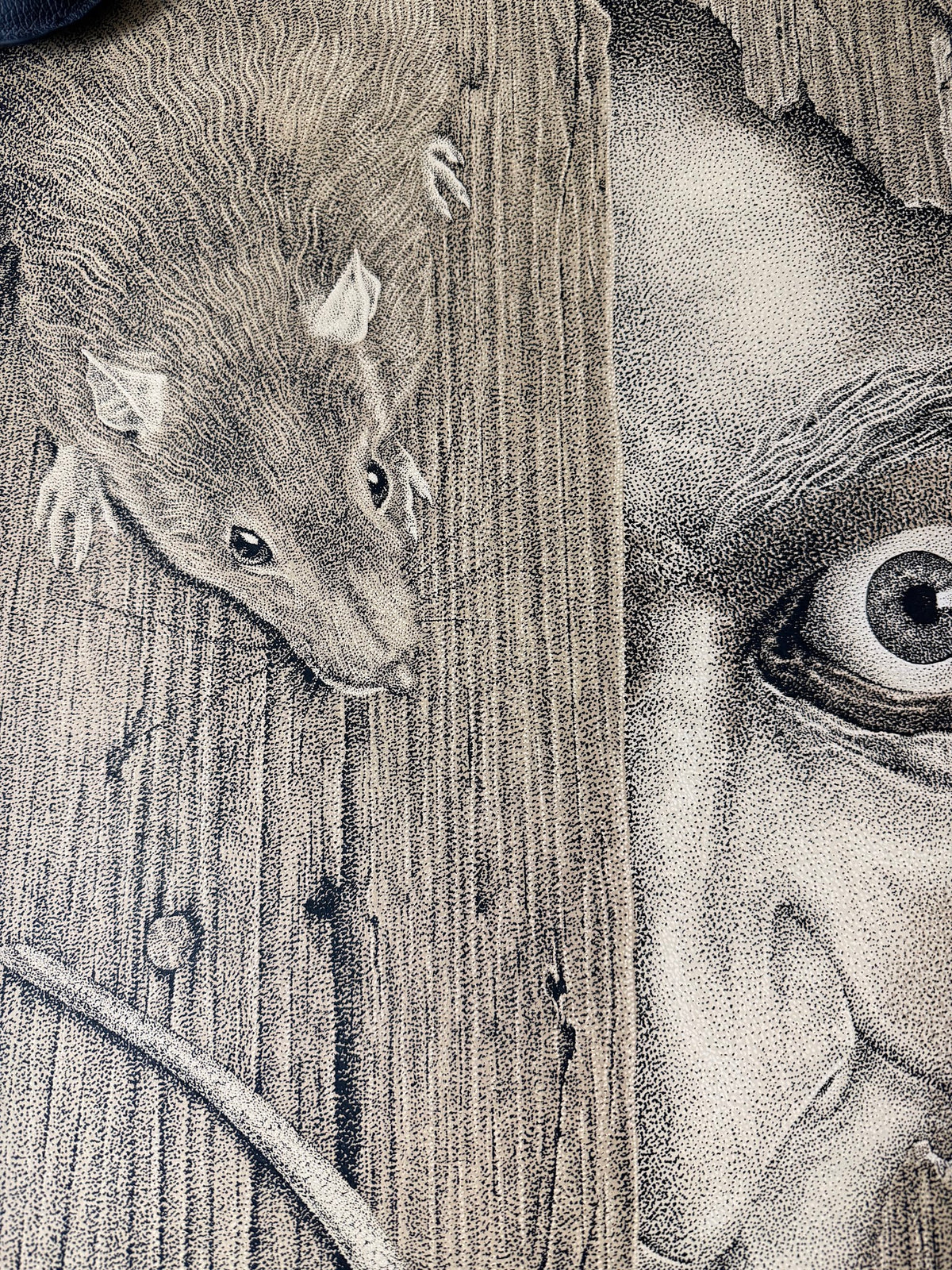 Timothy Pittides - Nosferatu Variant - 20x30 - Limited Edition Poster