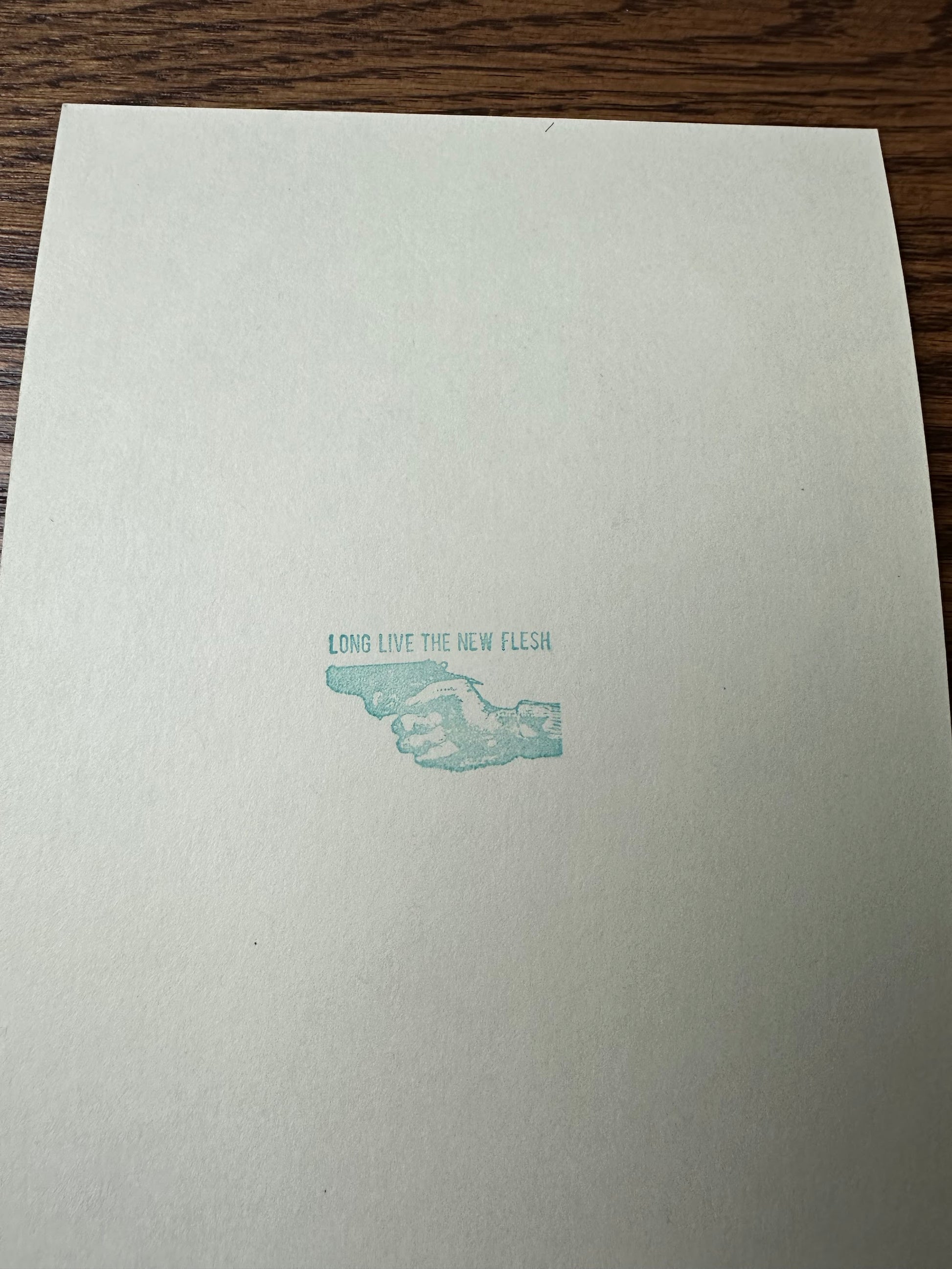 New Flesh - Princess Leia Handbill 5x7 art print - detail image 3