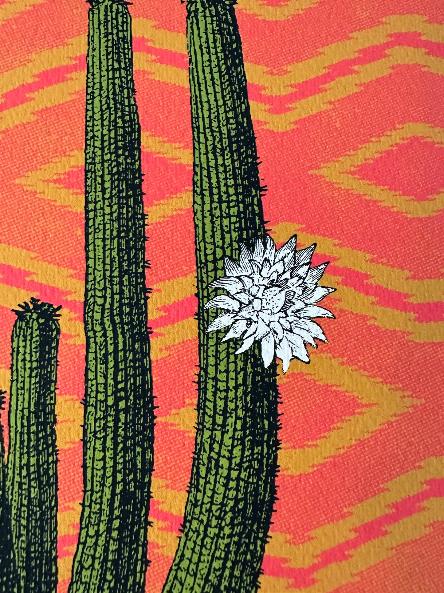 Nate Duval - Catherine Cactus 13x19 art print - detail image 3