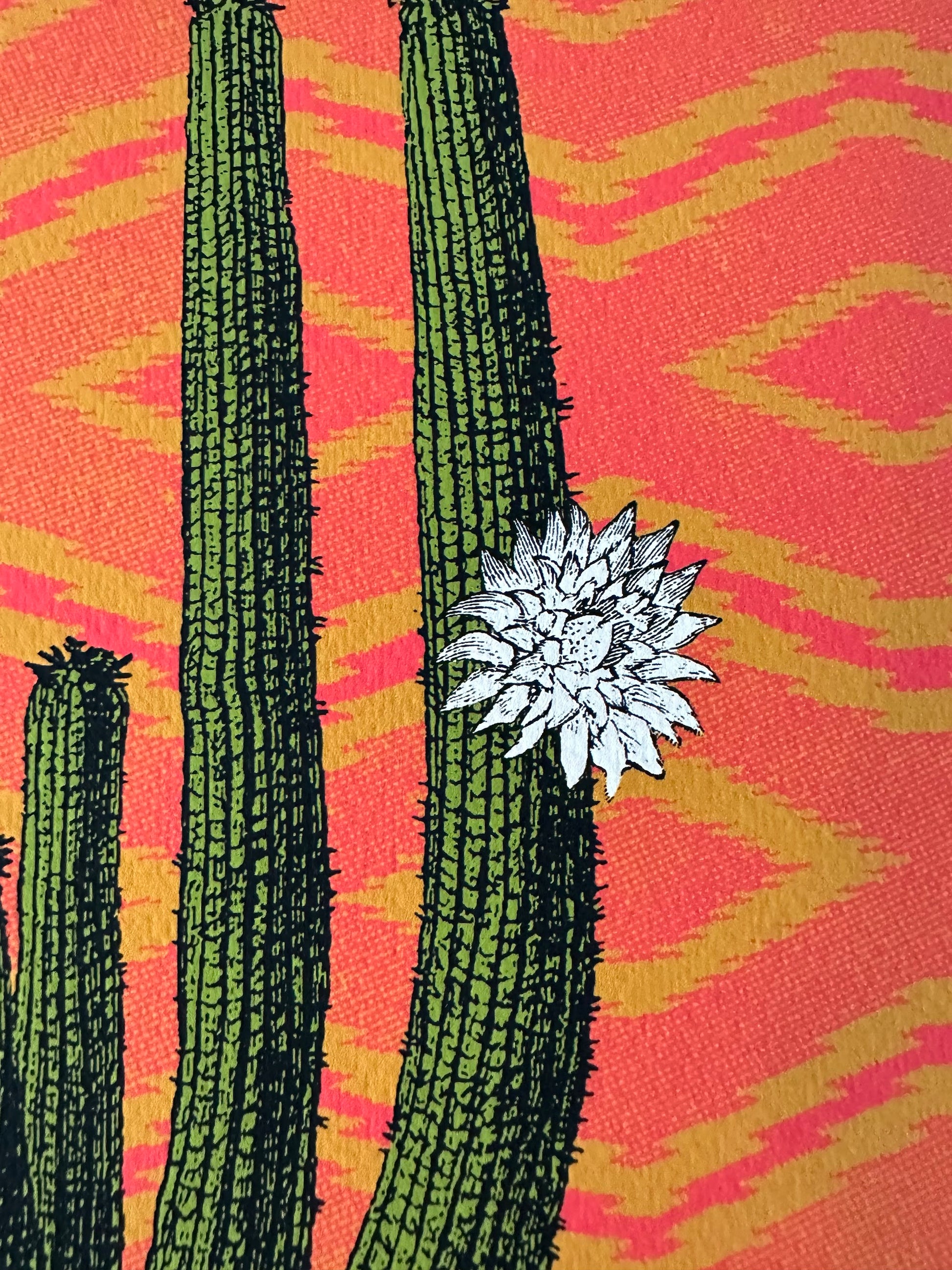 Nate Duval - Catherine Cactus 13x19 art print - detail image 3