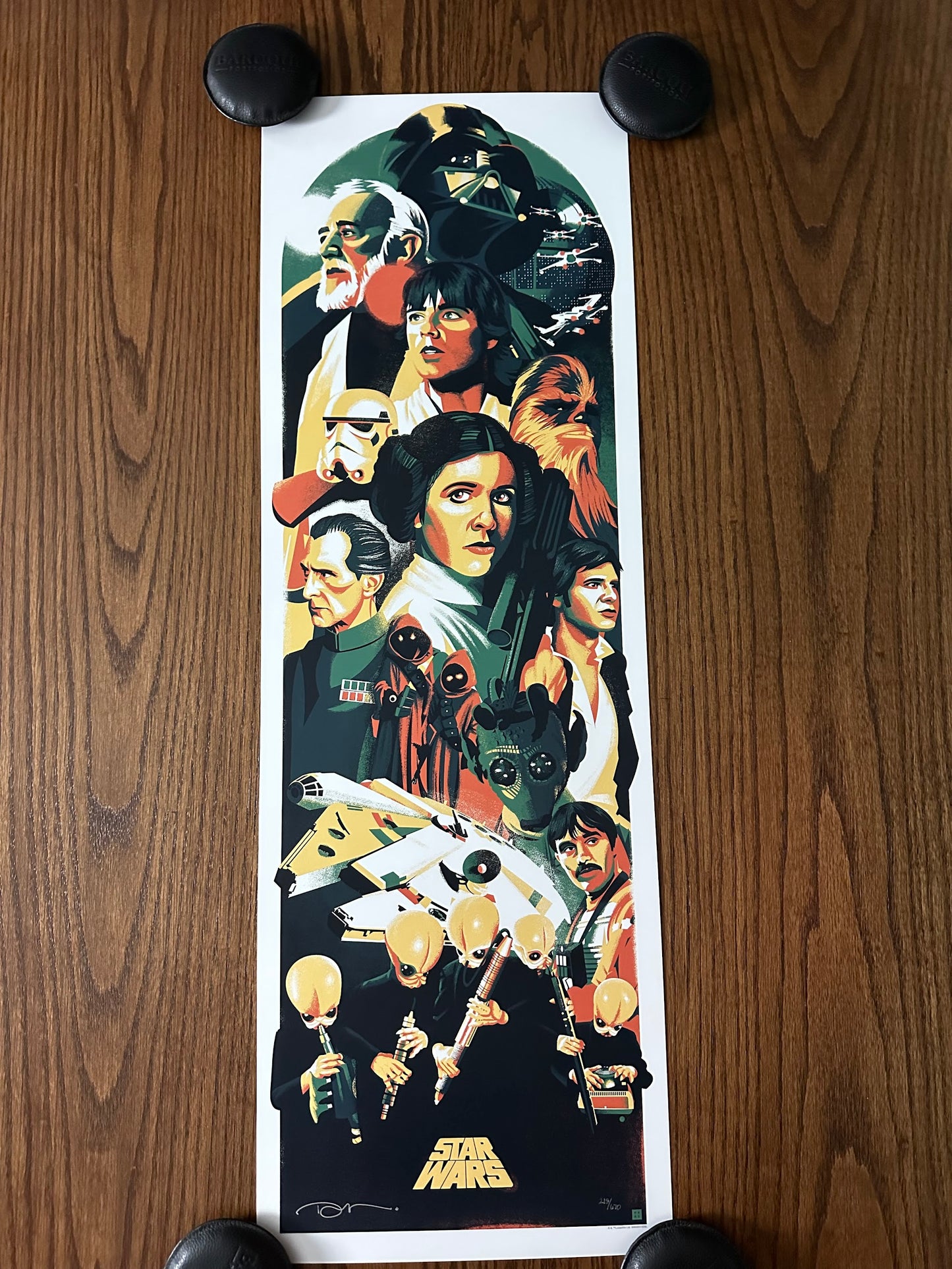 Danny Haas - Star Wars 12x36 movie poster