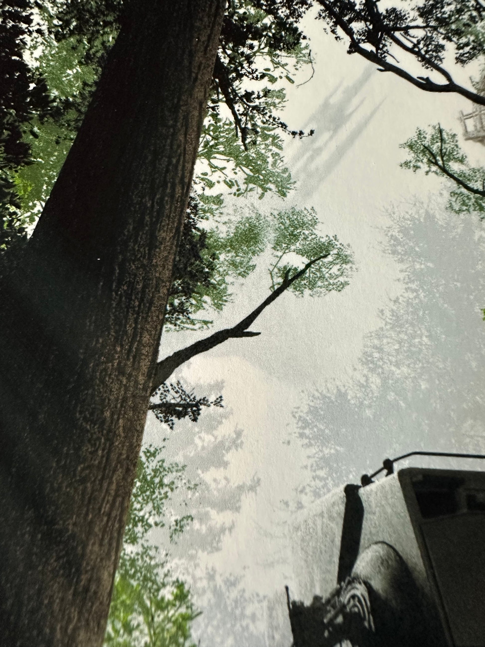 JC Richard - Star Wars Forest Sentries 6x8 art print - detail image 3