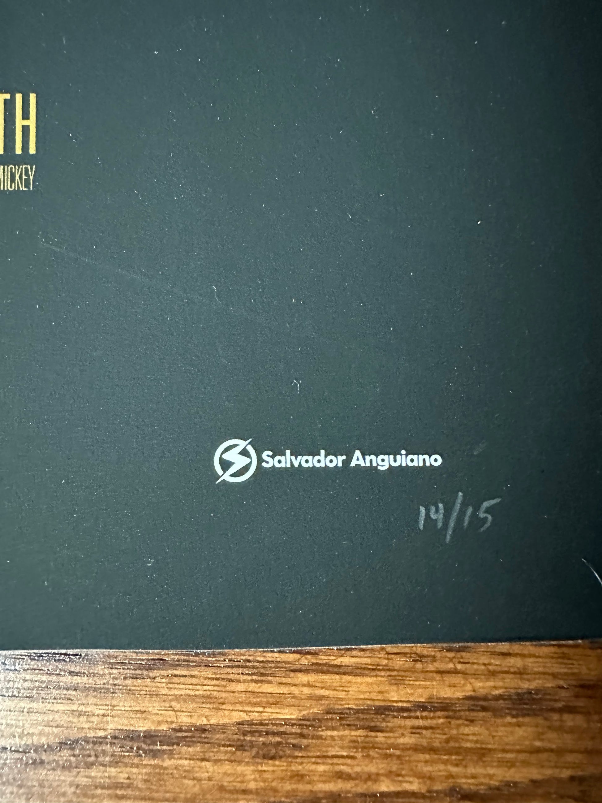 Salvador Anguiano - Rocky 12x24 movie poster - detail image 5