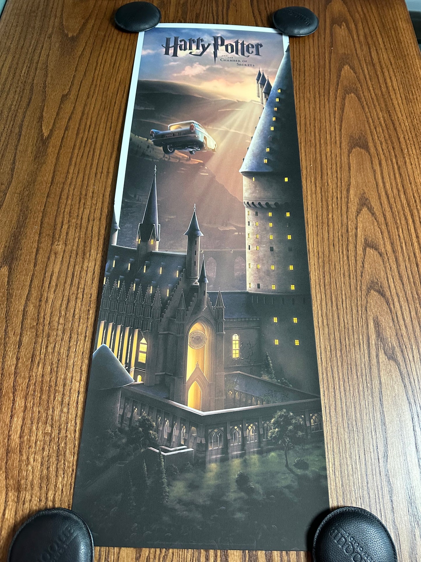 Ben Harman - Harry Potter and the Chamber of Secrets 12x36 movie poster