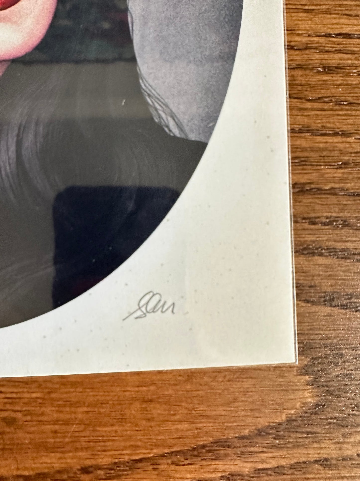 Sara Deck - Addams Family Portrait - Morticia Addams 8x10 art print - detail image 3