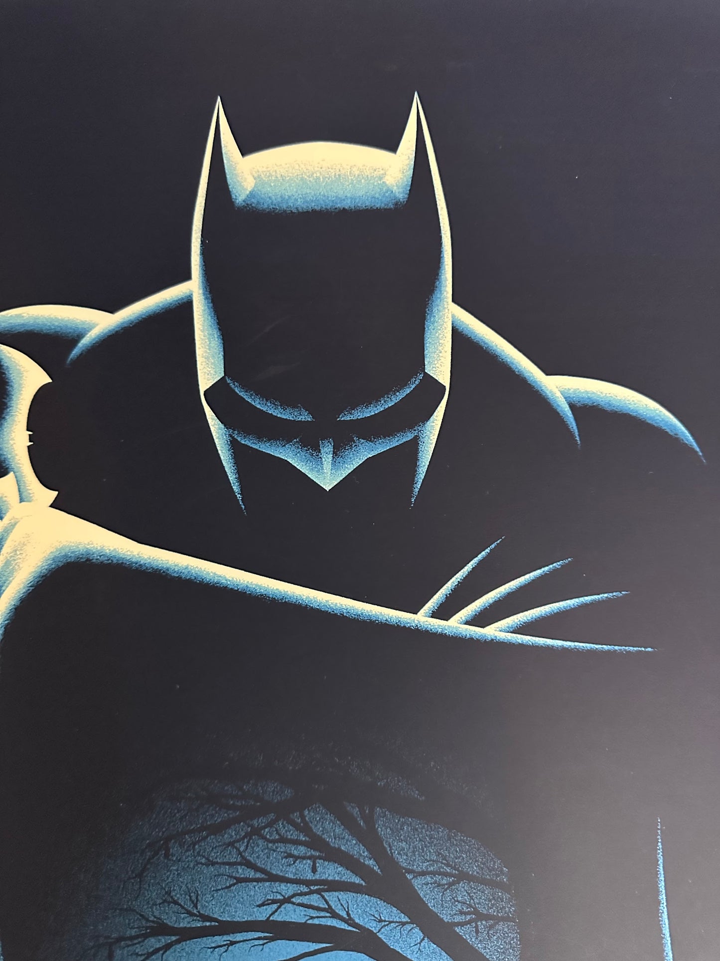 Khoa Ho - Batman Past/Present 16x24 movie poster - detail image 2