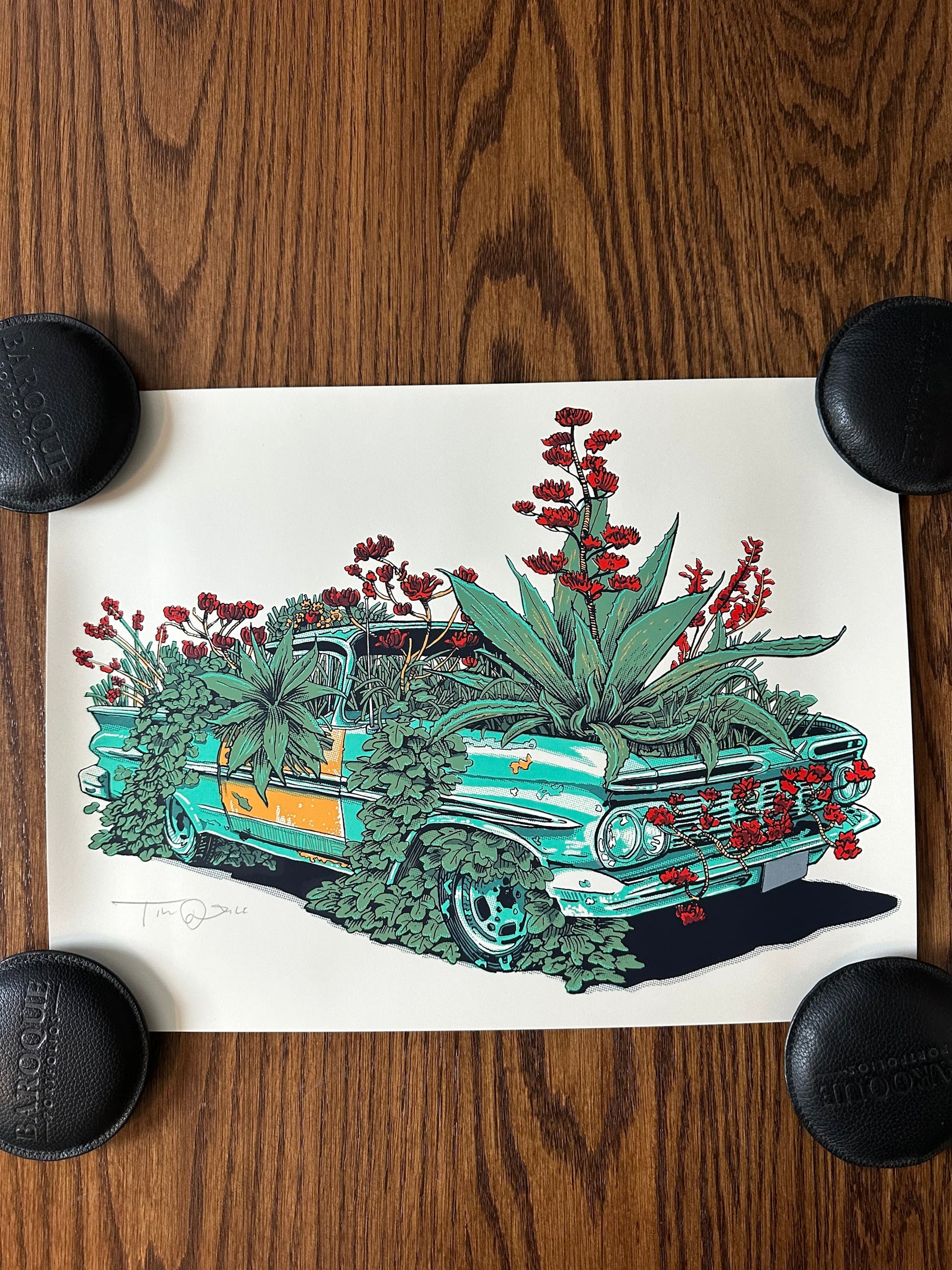 Tim Doyle - Kudzu Camino 12x16 art print