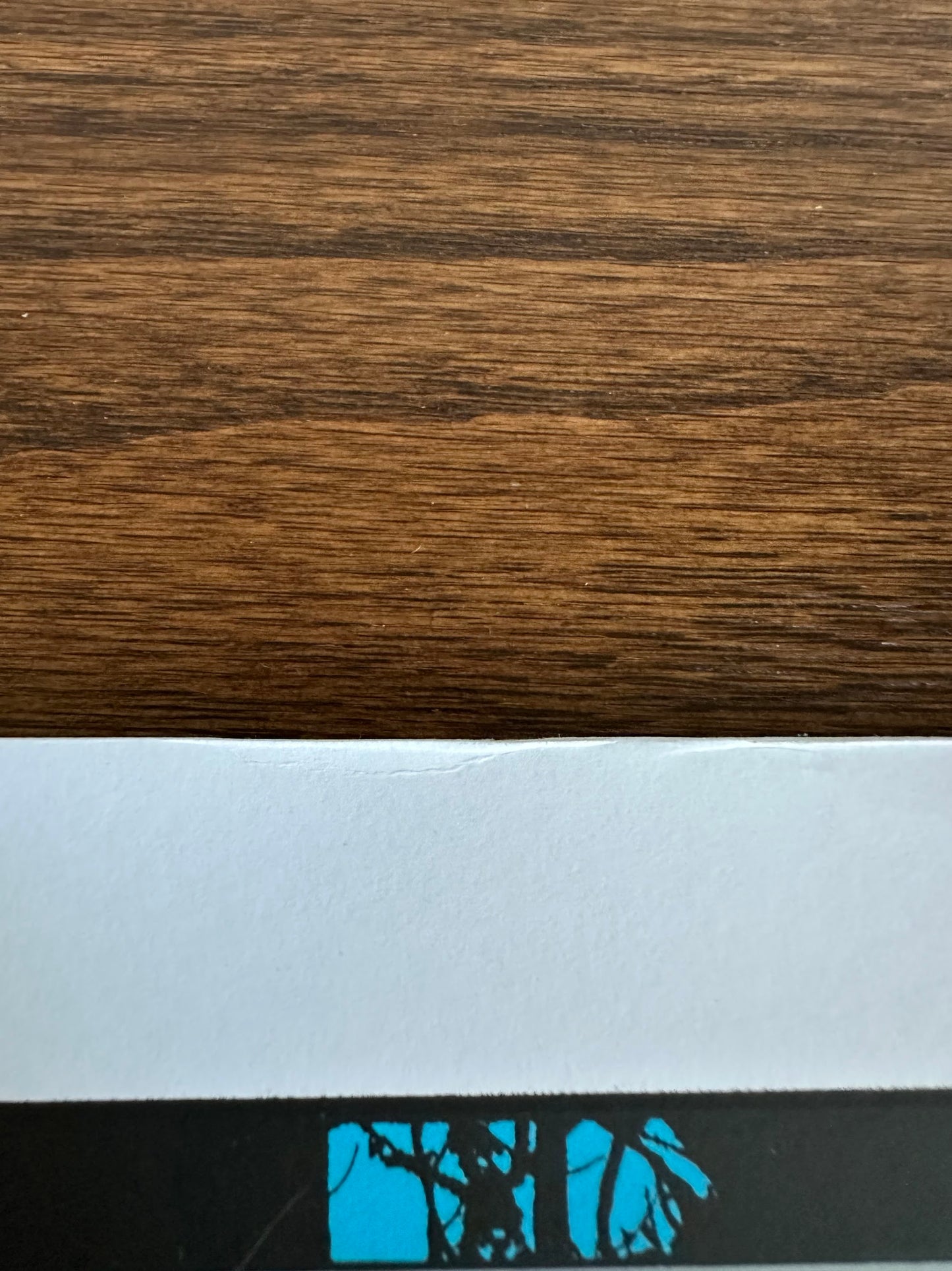 Dan Mcarthy - Jurassic World 36x24 movie poster - detail image 3