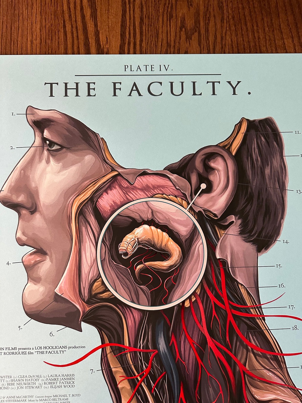 David Seidman - The Faculty - 24x36 - Limited Edition Poster