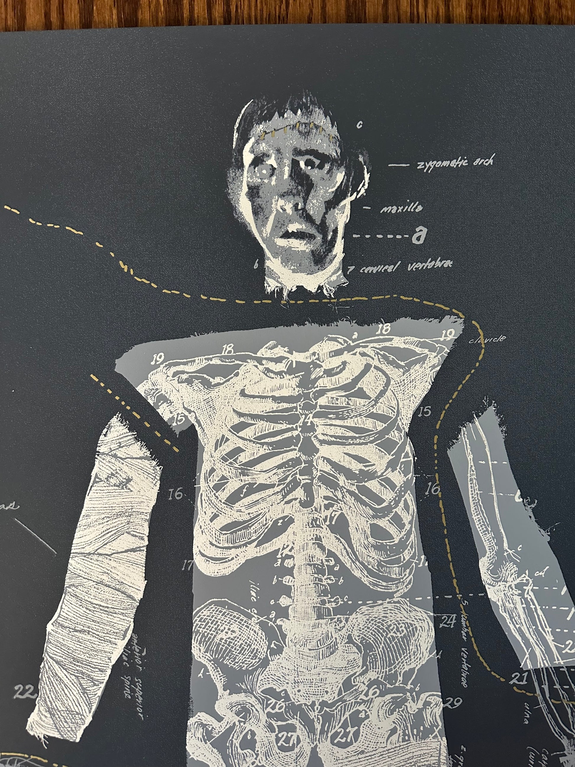 Sterling Hundley - The Curse of Frankenstein Variant 24x36 movie poster - detail image 2