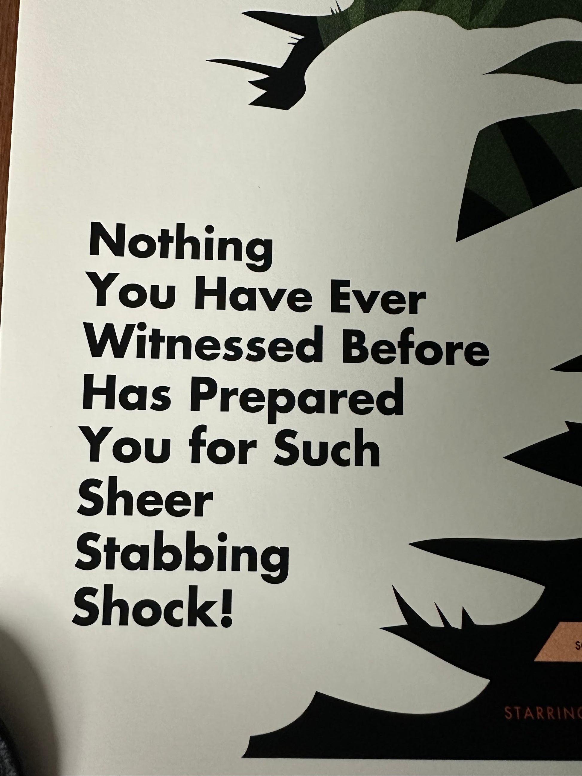 Danny Haas - The Birds 18x24 movie poster - detail image 5