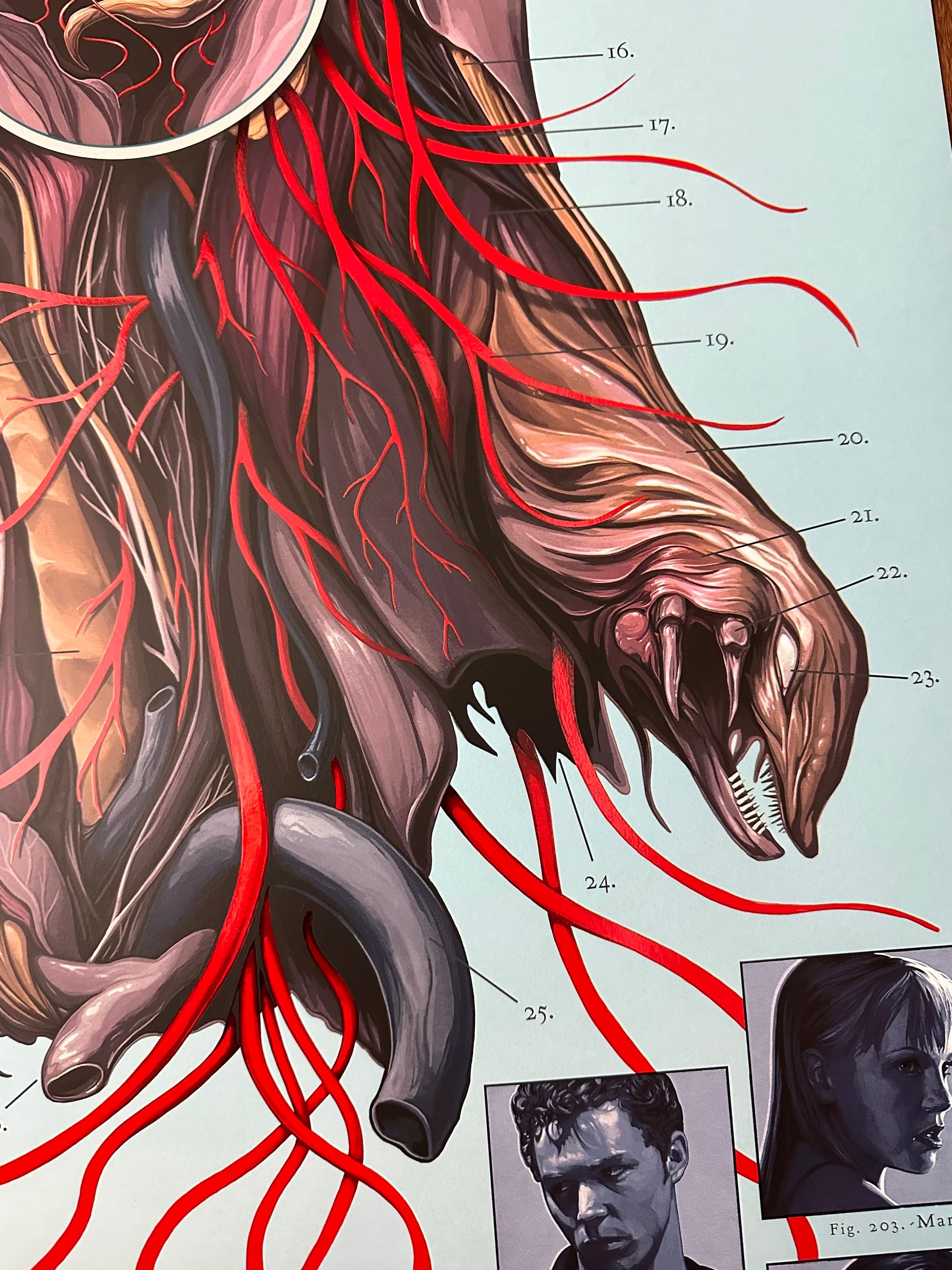 David Seidman - The Faculty 24x36 movie poster - detail image 4