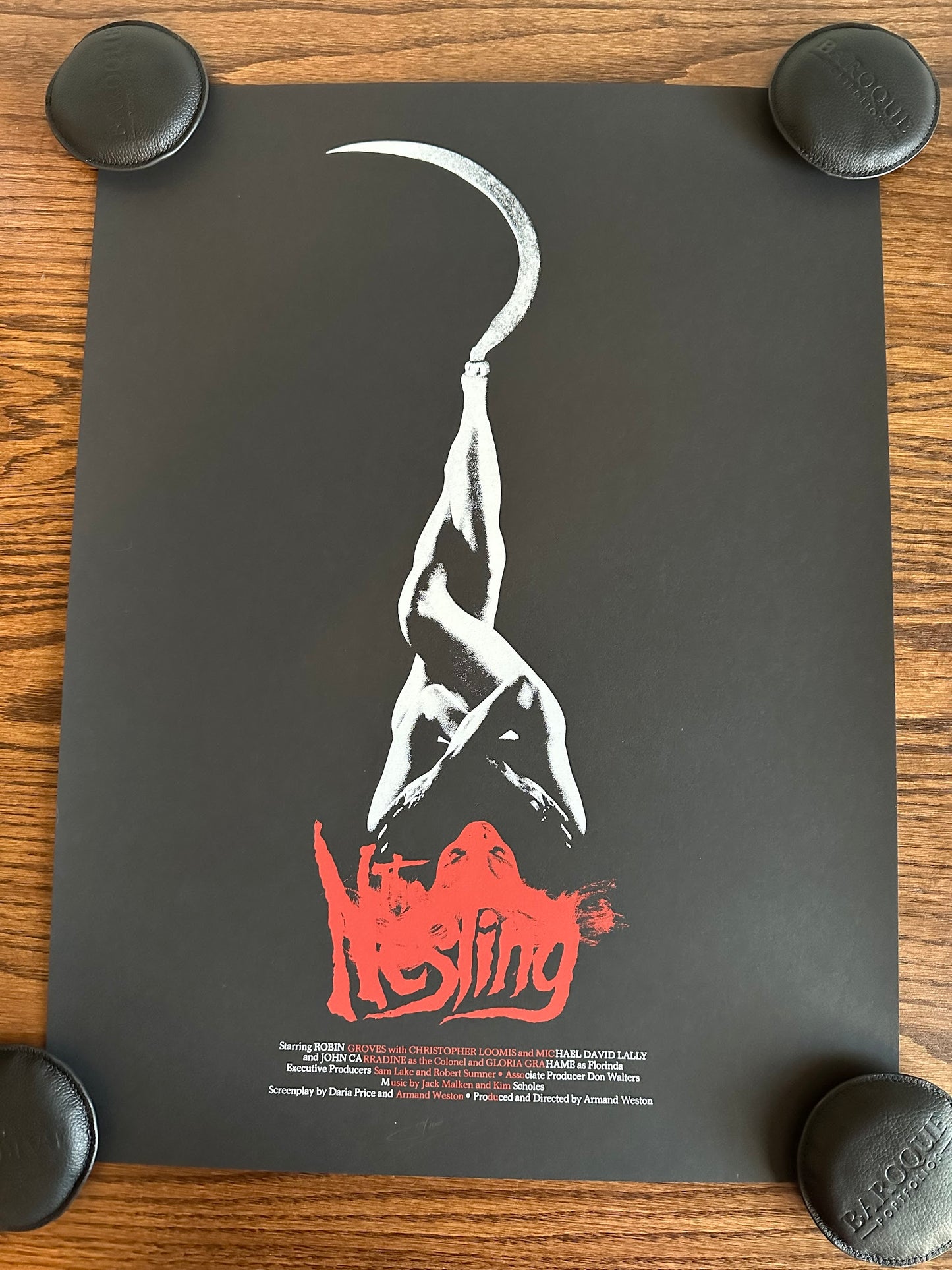 Jay Shaw - Nesting 18x24 movie poster