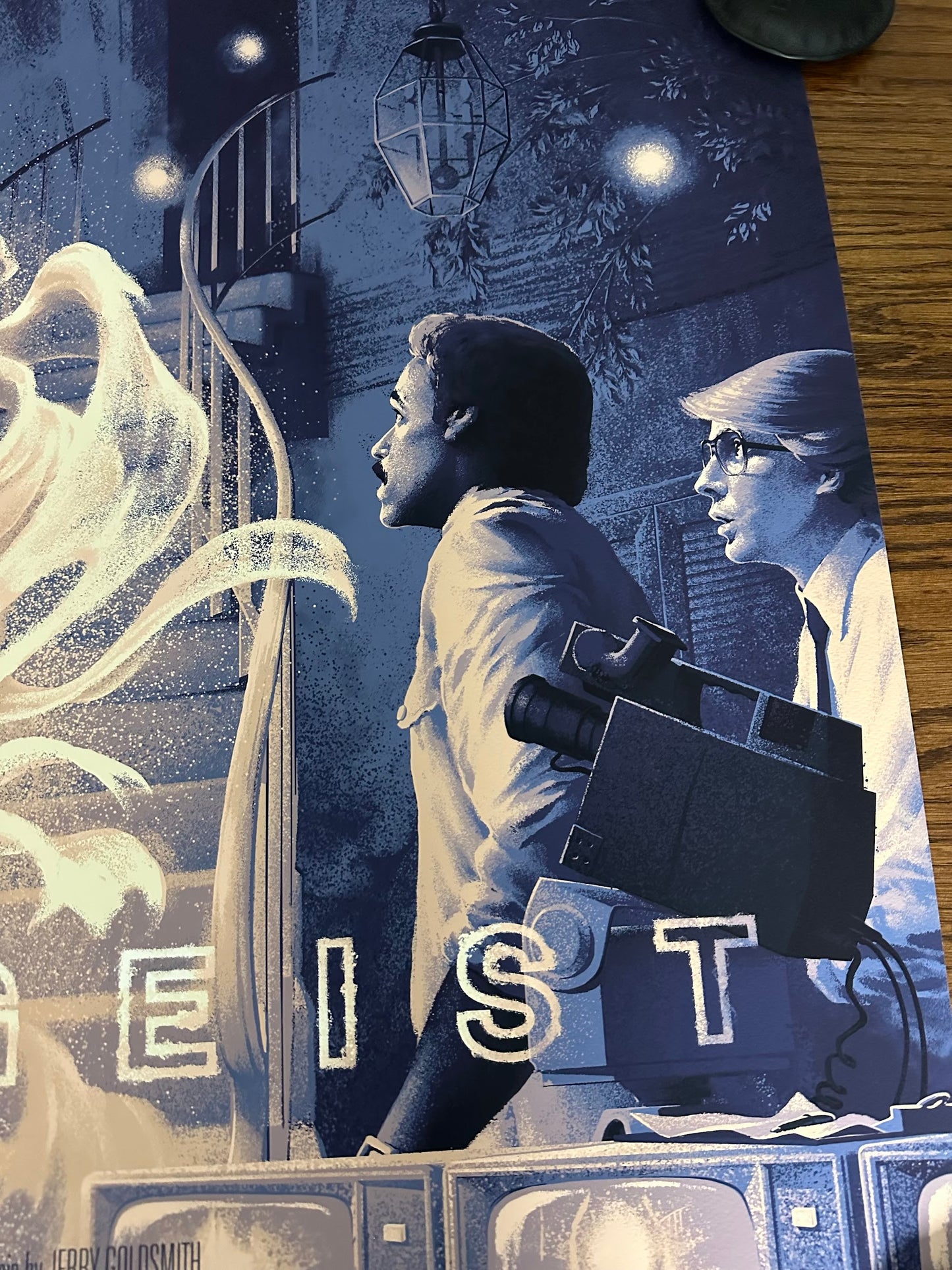 David Lantz - Poltergeist 36x24 movie poster - detail image 4