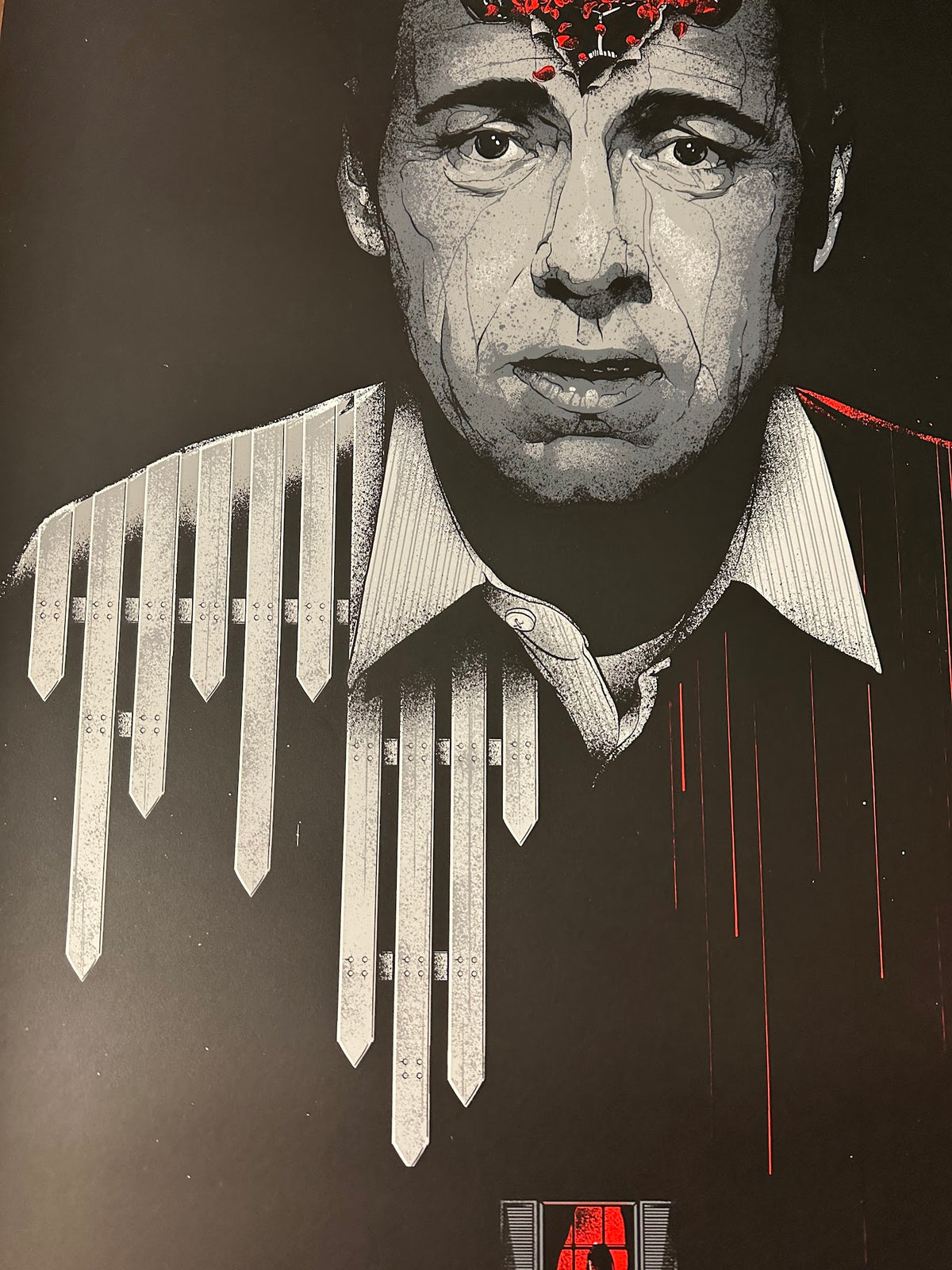 Matt Ryan Tobin - American Beauty - 24x36 - Limited Edition Poster