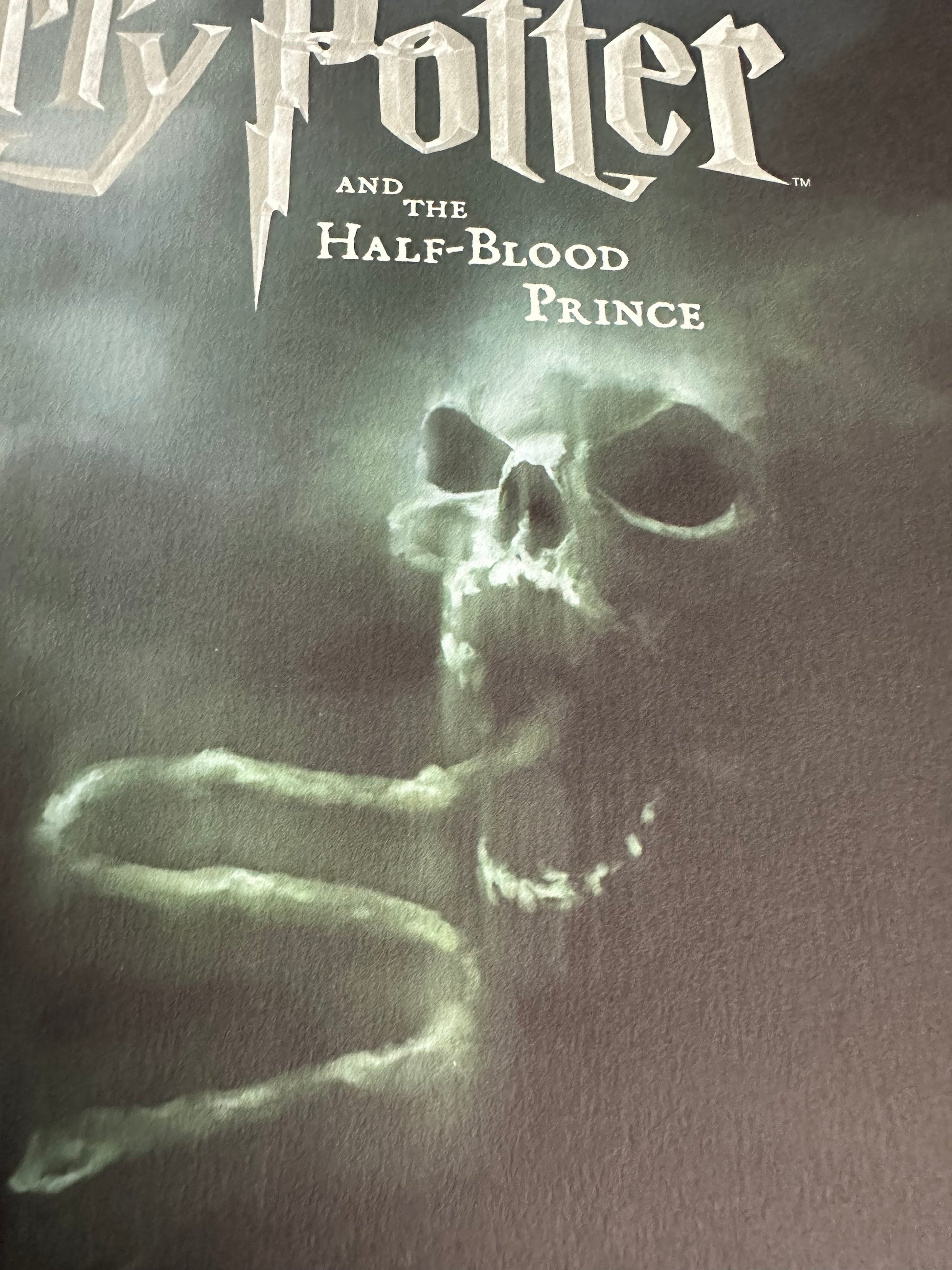 Ben Harman - Harry Potter and the Half Blood Prince 12x36 movie poster - detail image 3