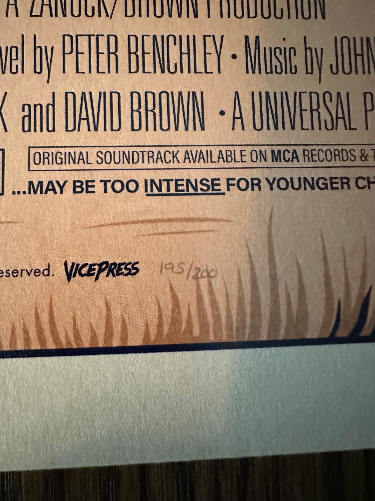 Sam Dunn - Jaws 24x36 movie poster - detail image 7