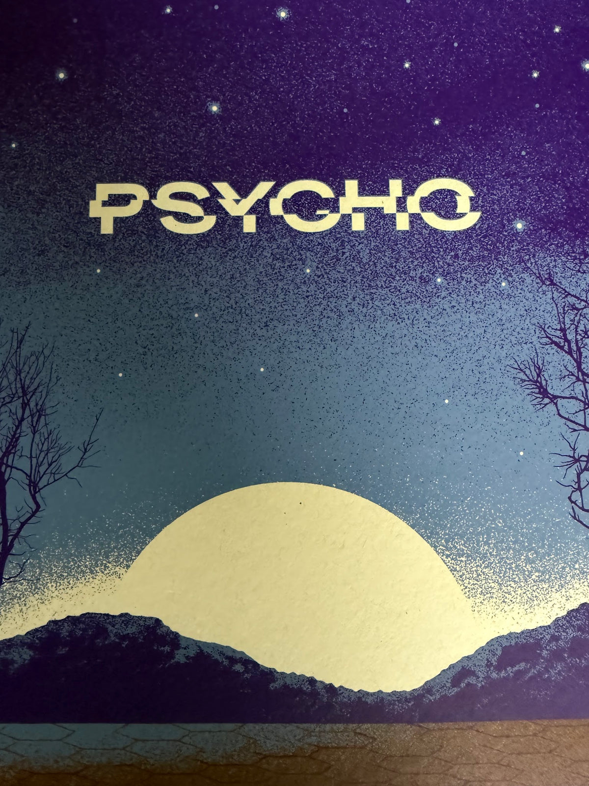 DKNG - Psycho - 24x18 - Limited Edition Poster