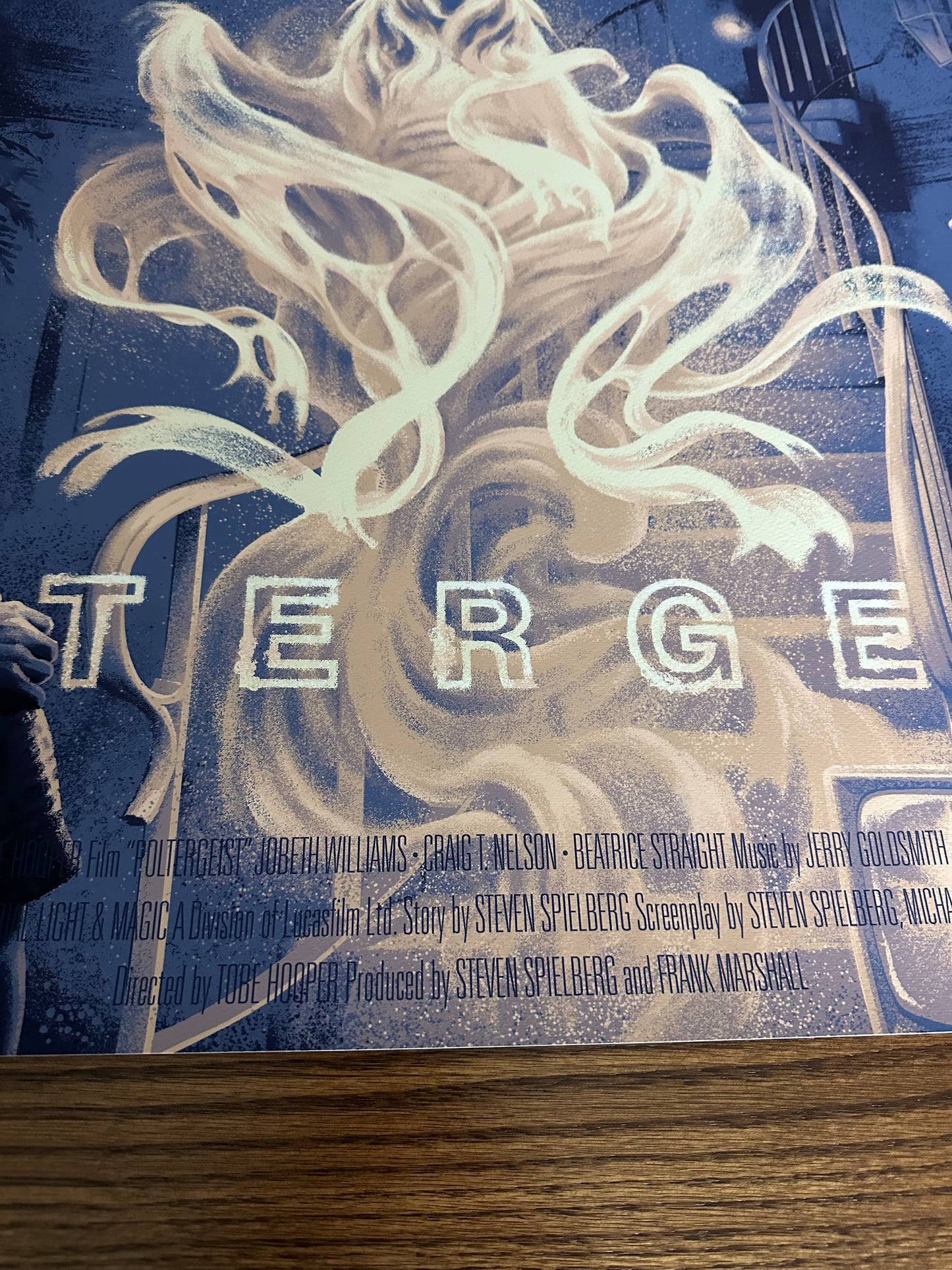 David Lantz - Poltergeist 36x24 movie poster - detail image 5