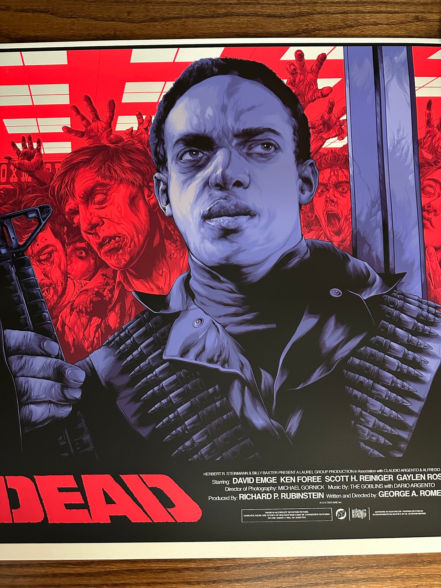Ken Taylor - Dawn of Dead Variant 36x24 movie poster - detail image 3
