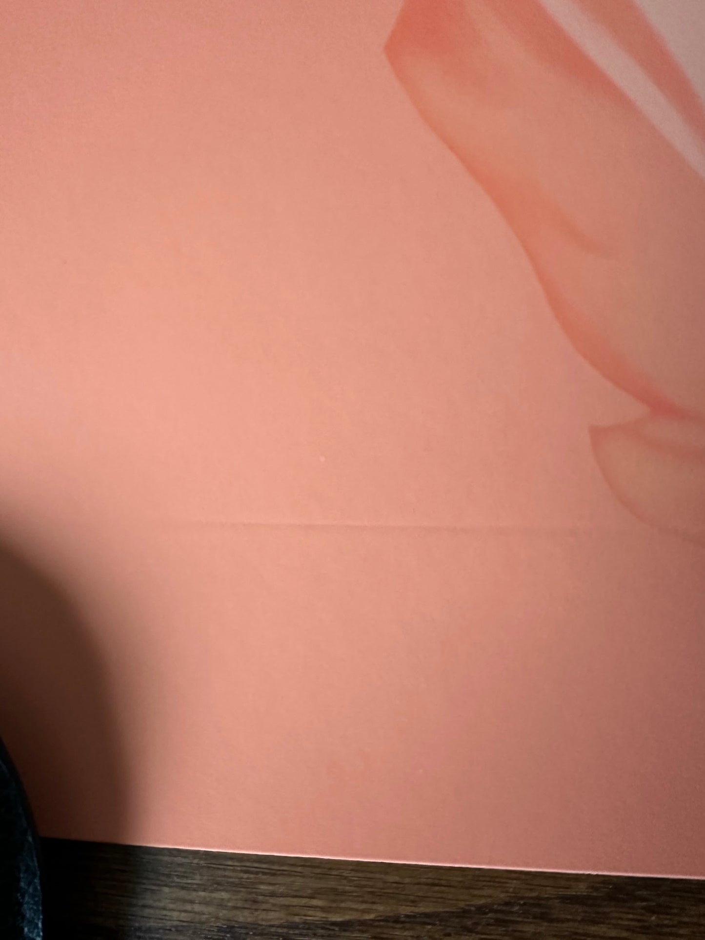 Dakota Randall - Dumb & Dumber Llyod Christmas Portrait 12x12 art print - detail image 4