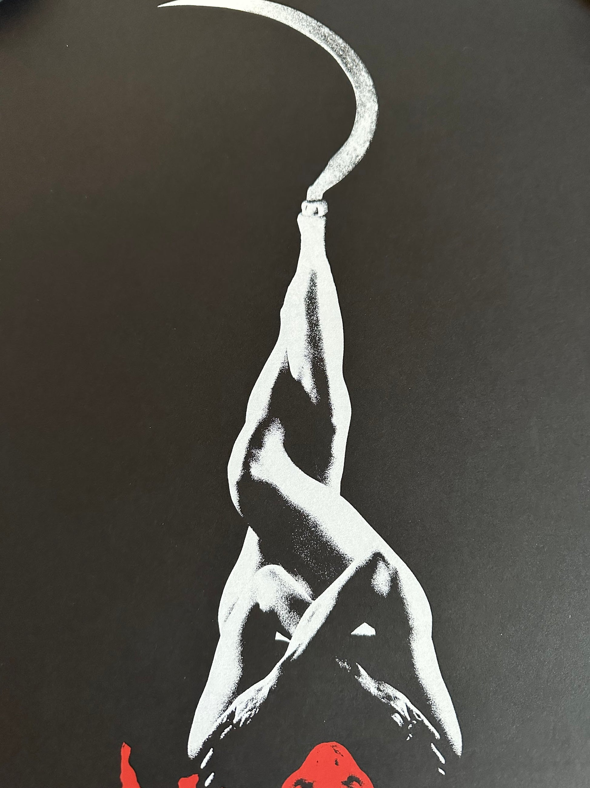 Jay Shaw - Nesting 18x24 movie poster - detail image 2