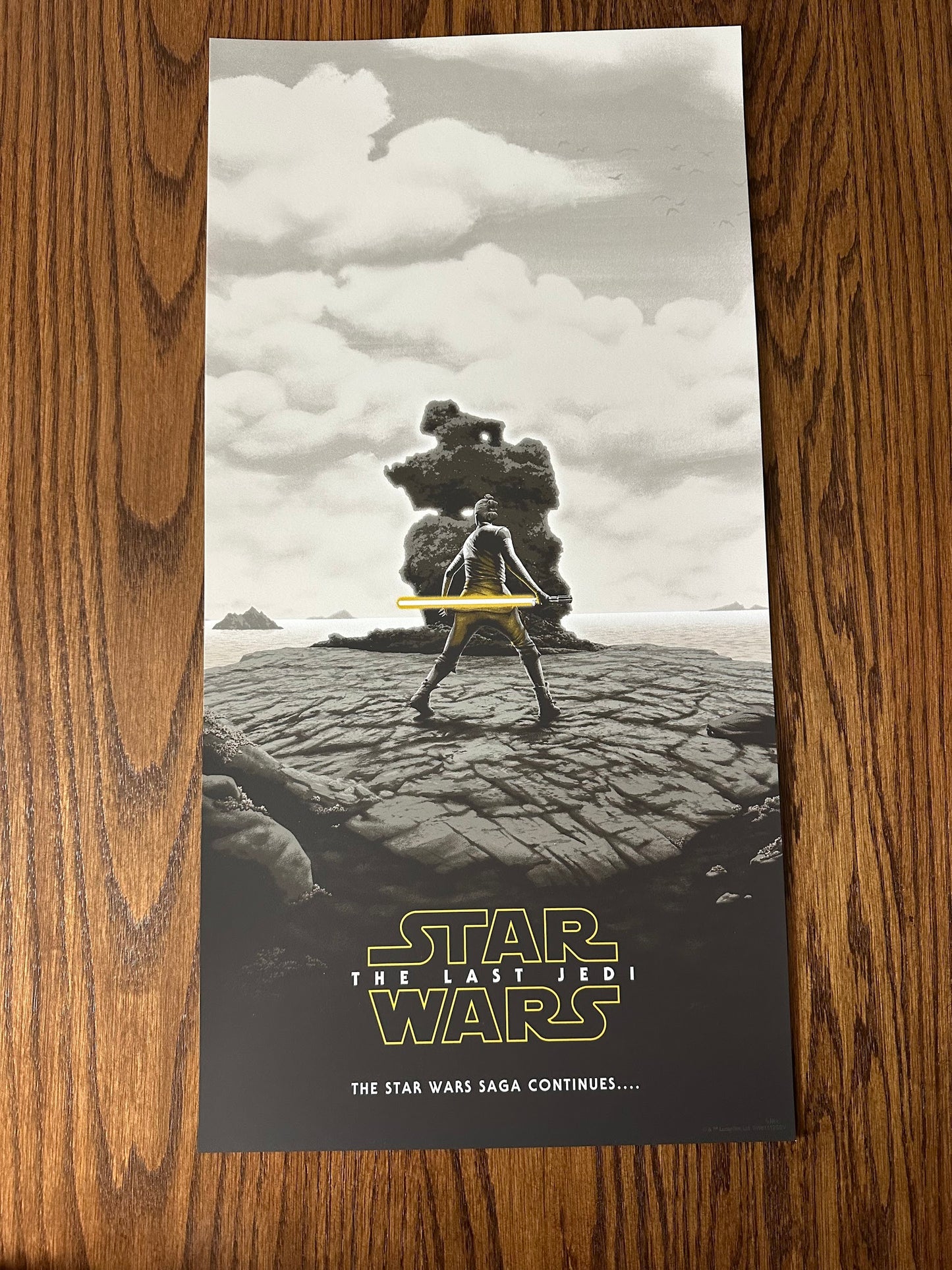 Florey - Star Wars The Last Jedi Variant 12x24 movie poster