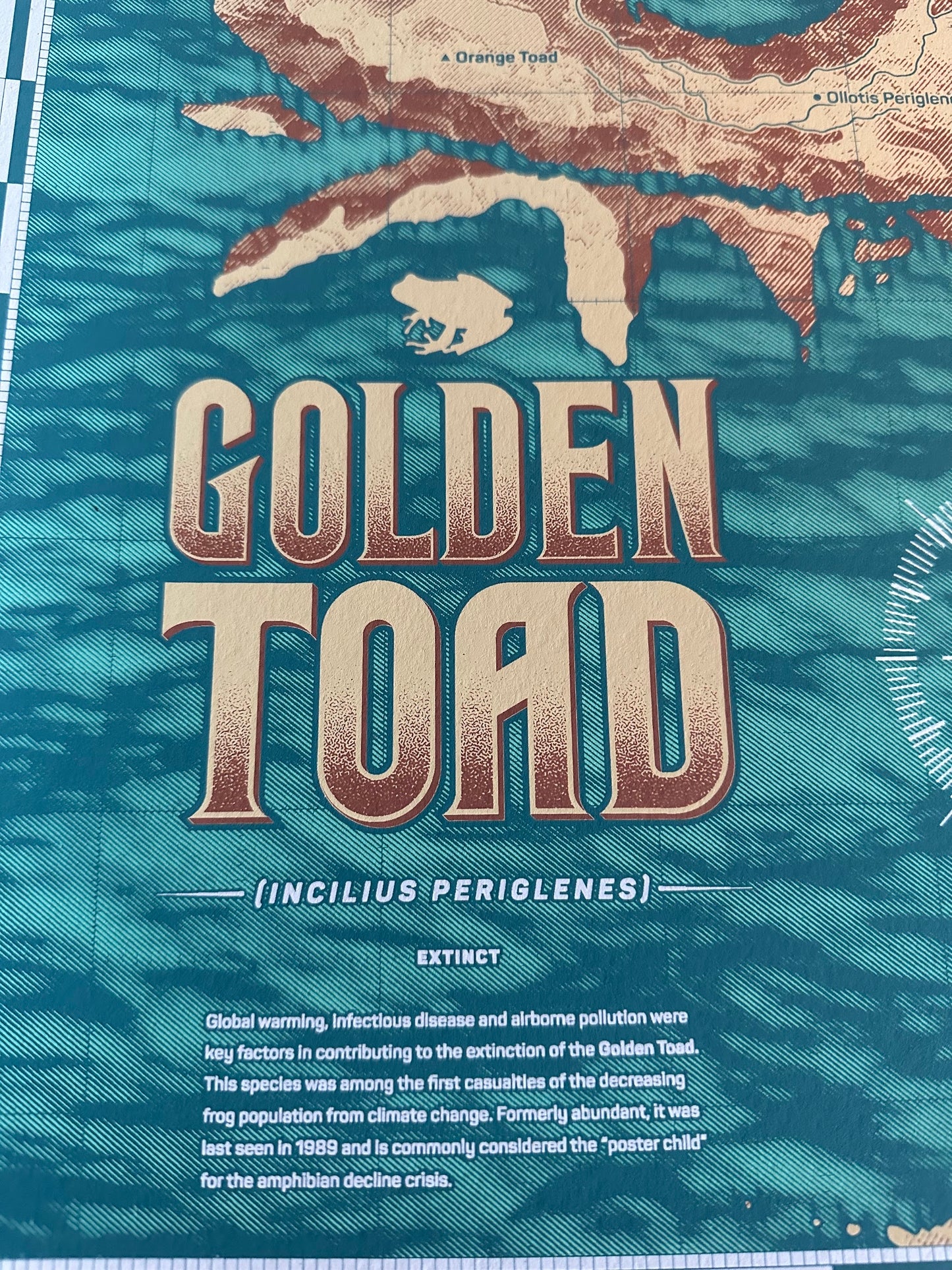 Anthony Petrie - Golden Toad Map 18x24 movie poster - detail image 2