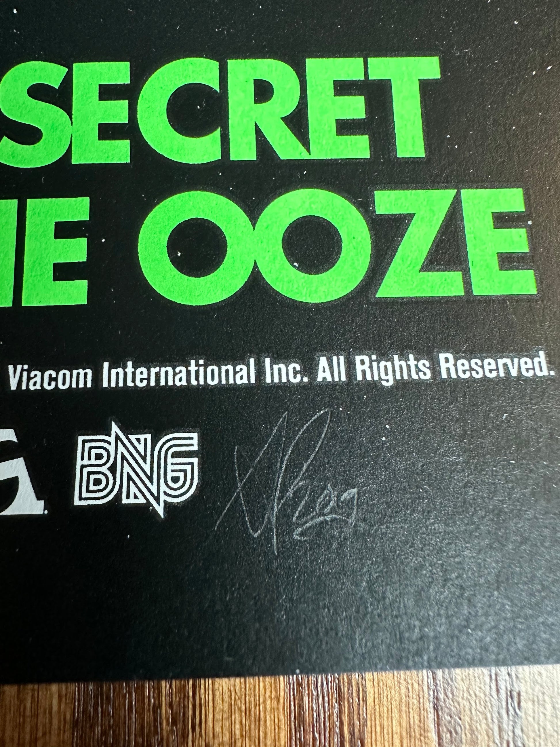 Anthony Petrie - Teenage Mutant Ninja Turtles 2 Variant 24x36 movie poster - detail image 7